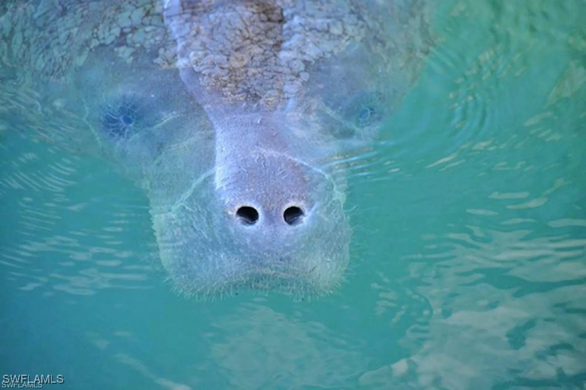 Property Slideshow image 40 of 49 | 3681 mossy oak dr, Fort Myers, FL, 33905