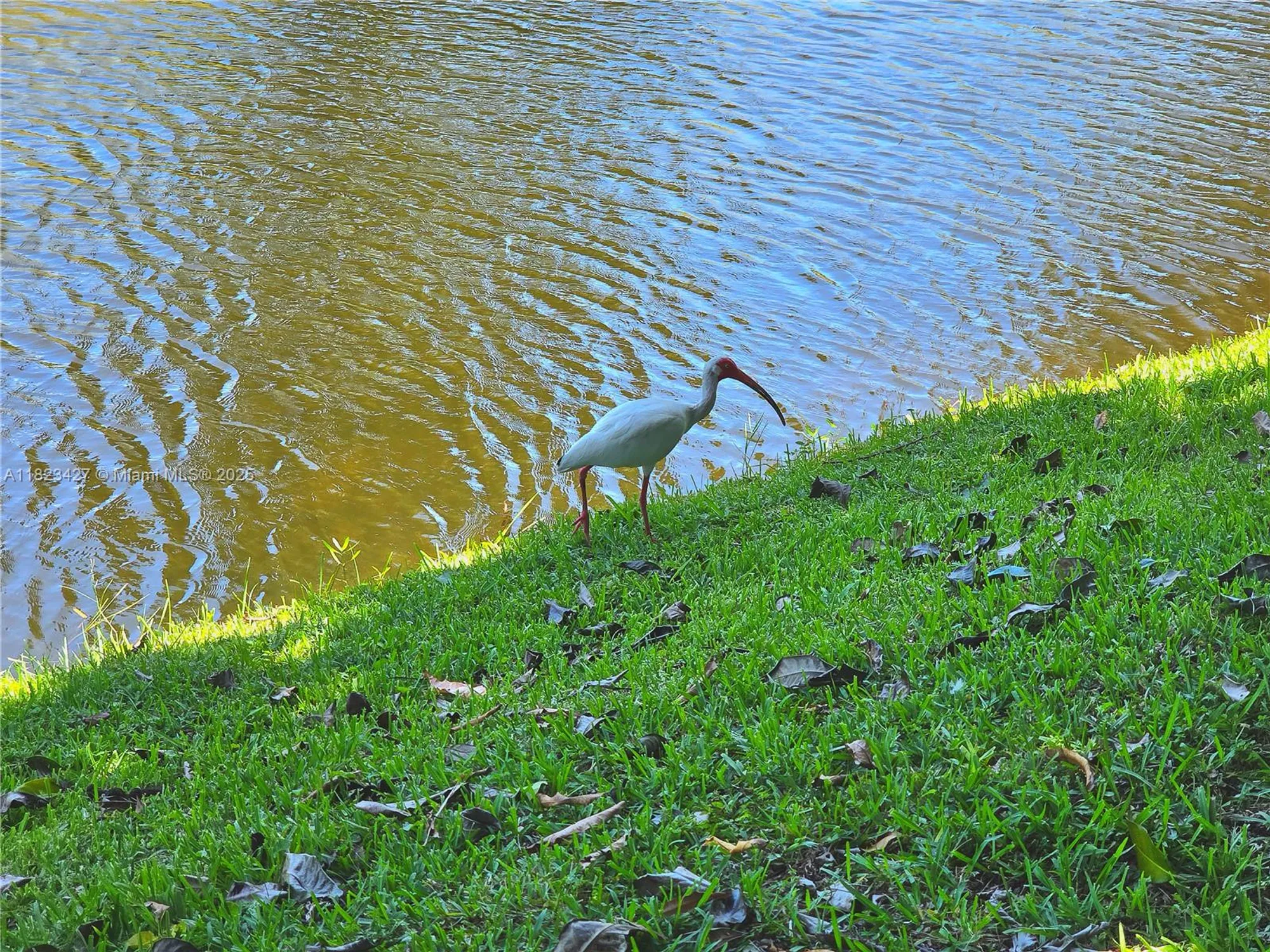 Property Slideshow image 26 of 60 | 1711 sw 22nd st, Boynton Beach, FL, 33426