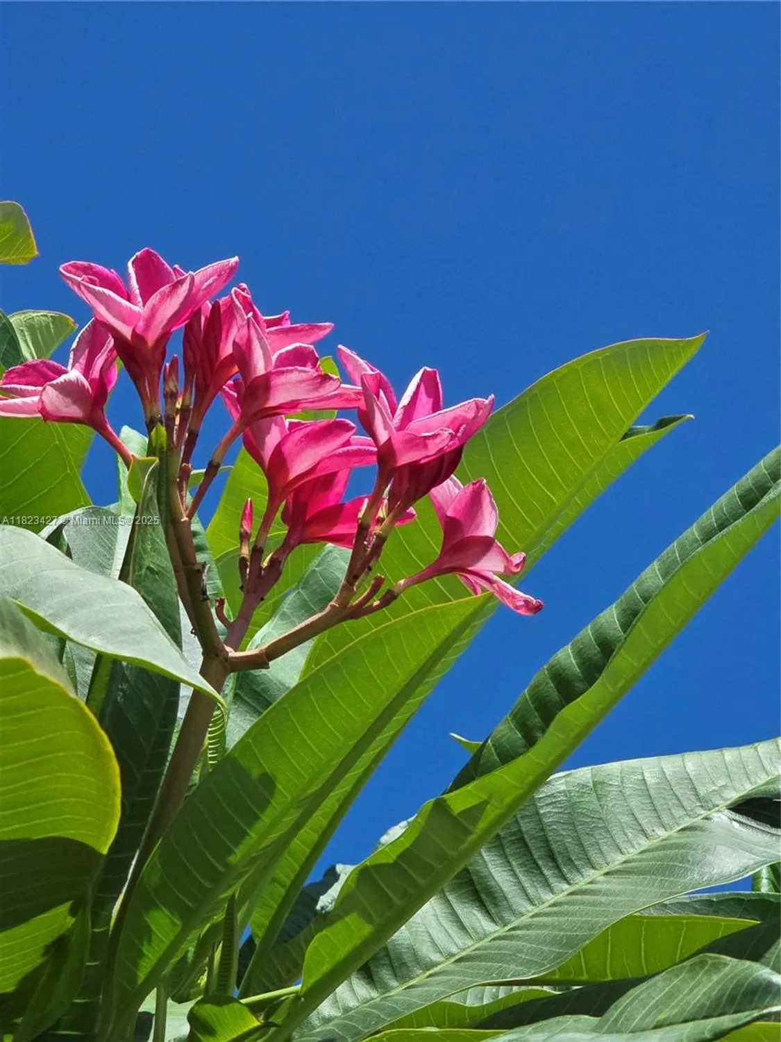 Property Slideshow image 58 of 60 | 1711 sw 22nd st, Boynton Beach, FL, 33426