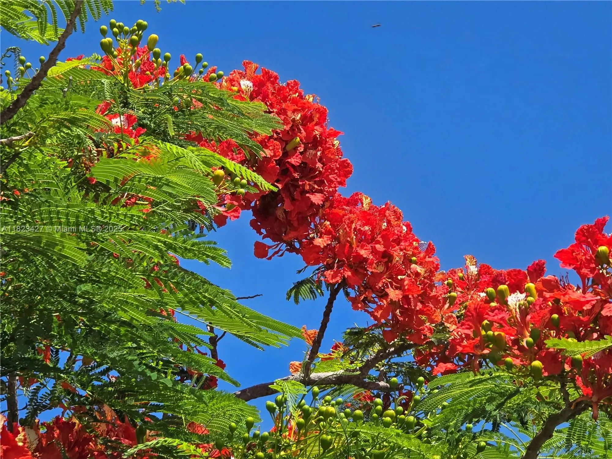 Property Slideshow image 59 of 60 | 1711 sw 22nd st, Boynton Beach, FL, 33426