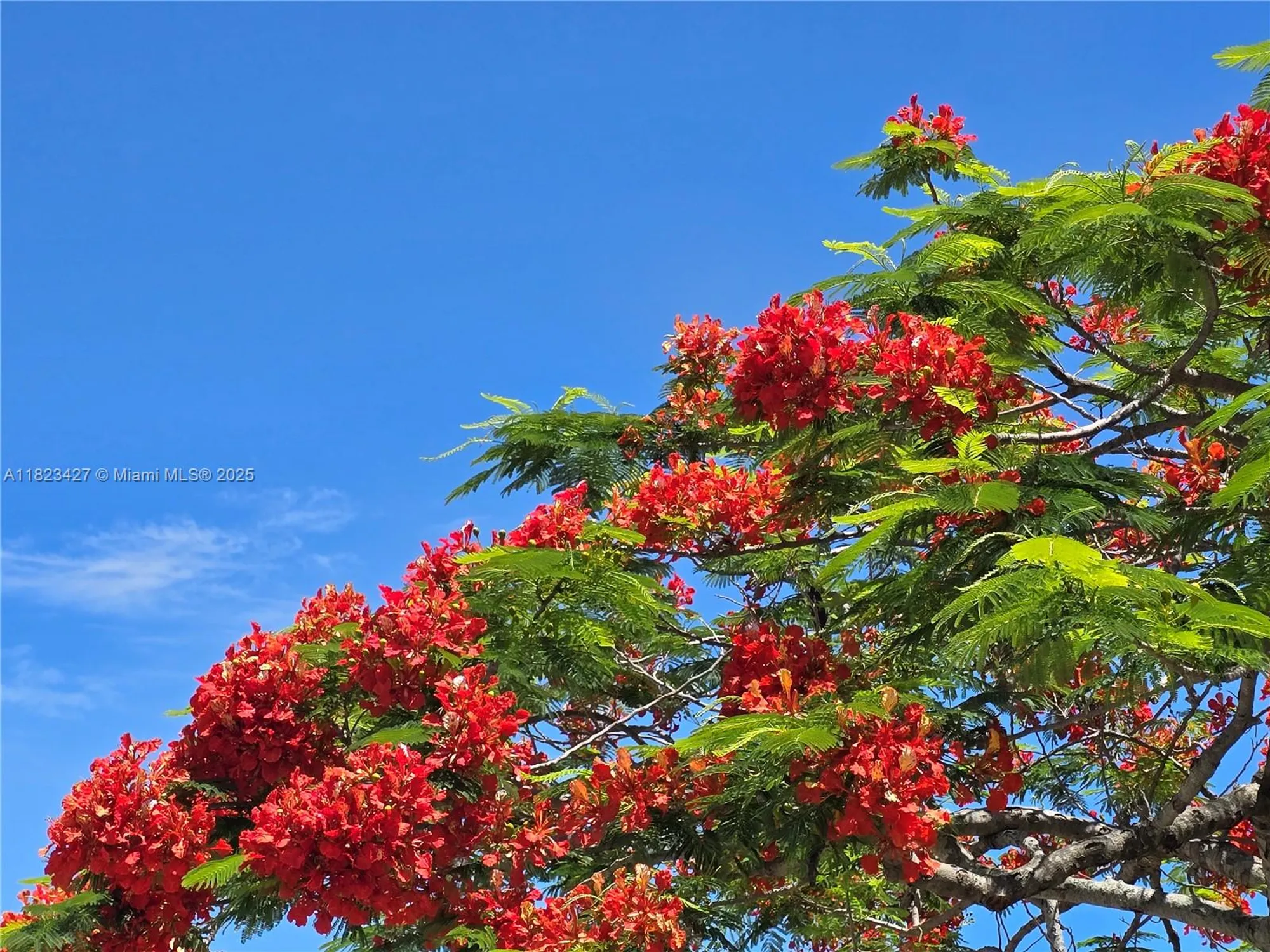 Property Slideshow image 52 of 60 | 1711 sw 22nd st, Boynton Beach, FL, 33426