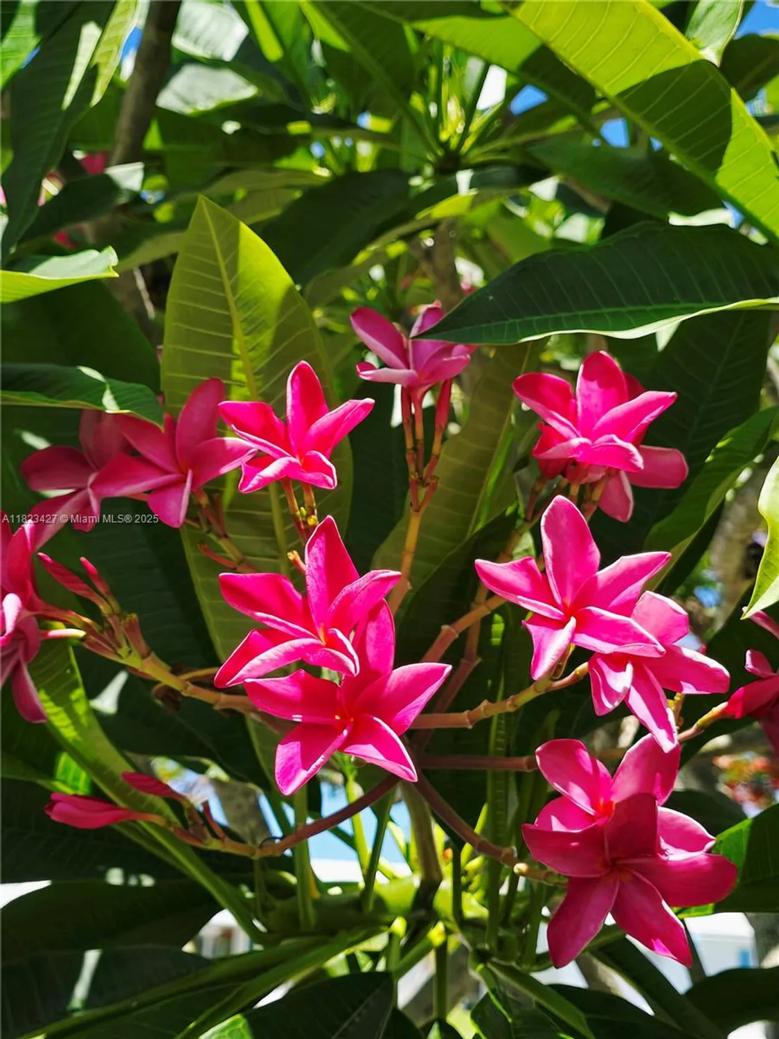 Property Slideshow image 7 of 60 | 1711 sw 22nd st, Boynton Beach, FL, 33426