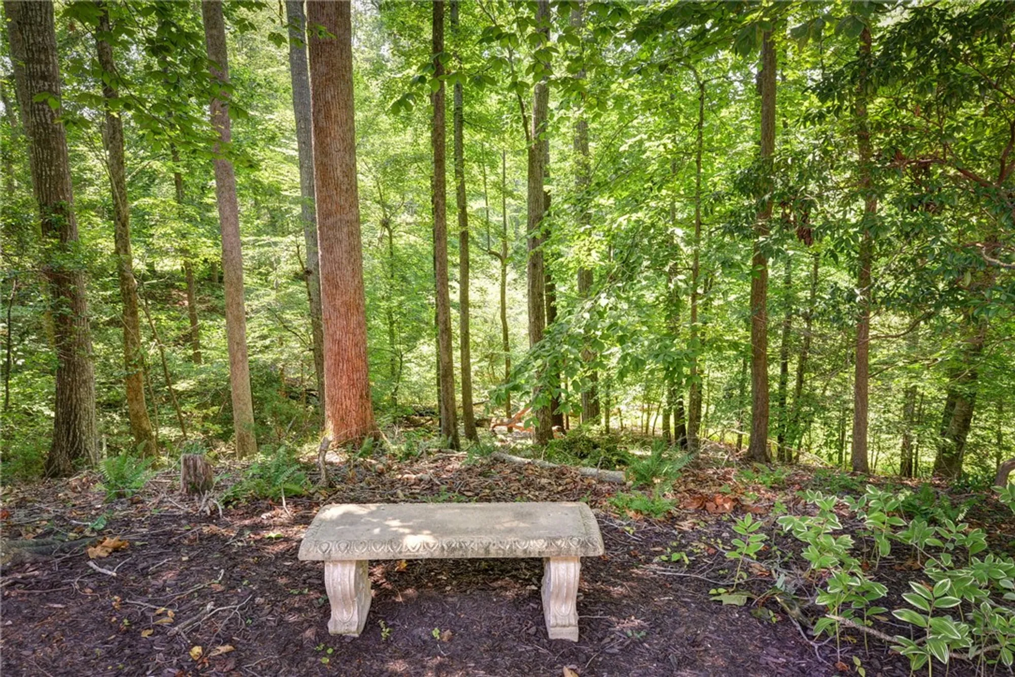 Property Slideshow image 43 of 50 | 4341 garden vw, Williamsburg, VA, 23188