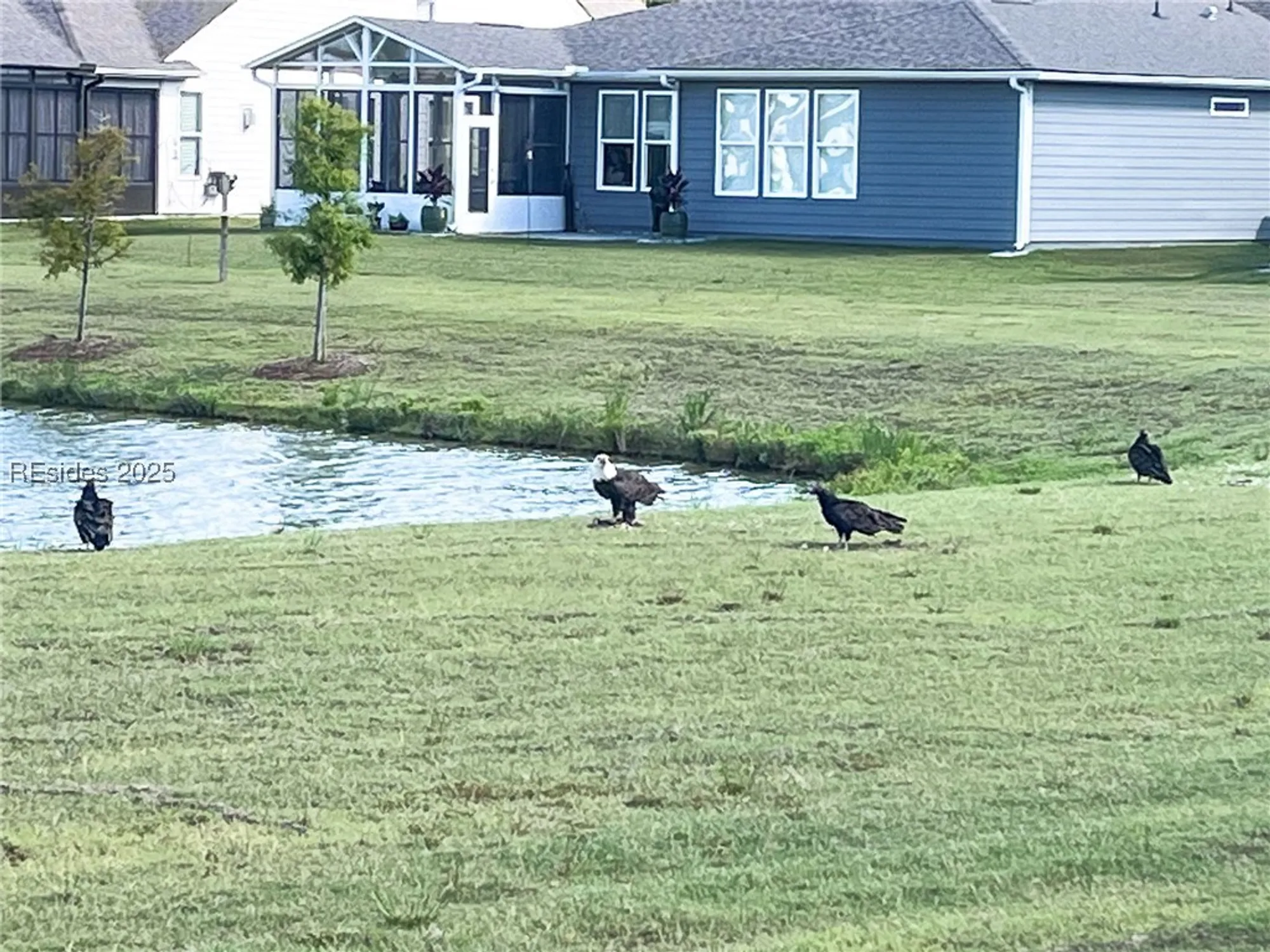 Property Slideshow image 53 of 54 | 859 destiny dr, Okatie, SC, 29909