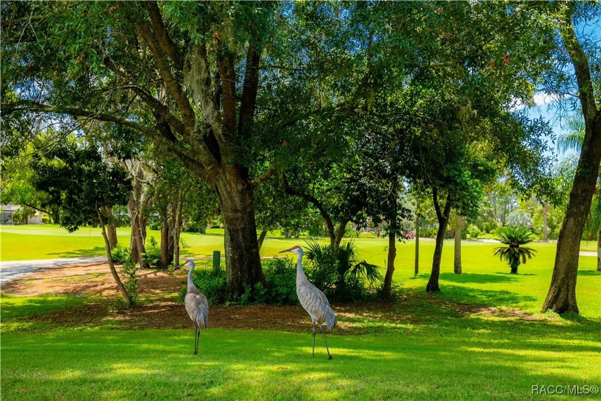 Property Slideshow image 65 of 75 | 9322 seve ct, Brooksville, FL, 34613