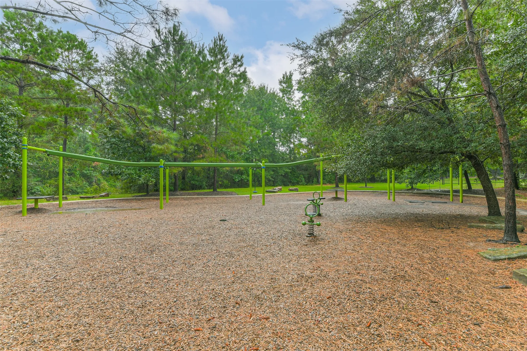 Property Slideshow image 35 of 47 | 240 w stargazer lily bnd, Montgomery, TX, 77316