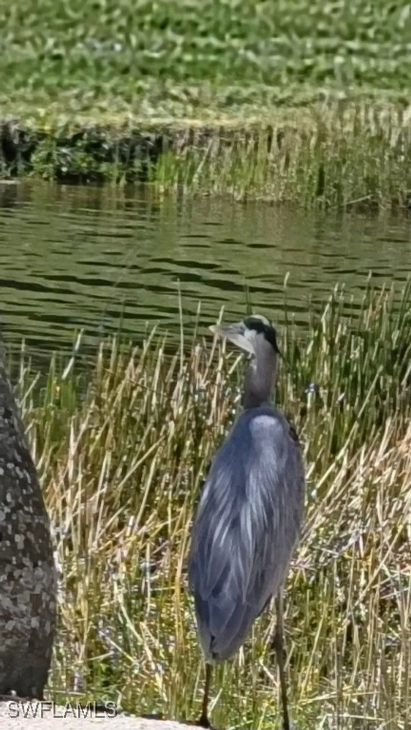 Property Slideshow image 38 of 42 | 9534 hemingway ln, Fort Myers, FL, 33913