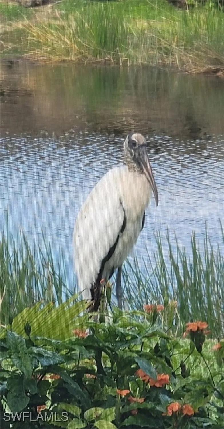 Property Slideshow image 39 of 42 | 9534 hemingway ln, Fort Myers, FL, 33913