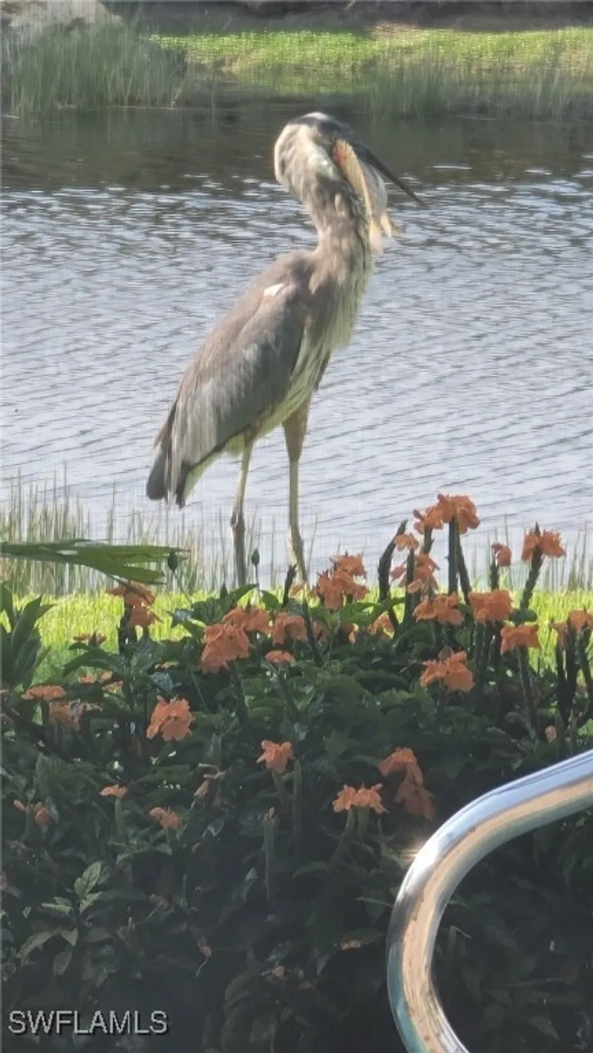 Property Slideshow image 40 of 42 | 9534 hemingway ln, Fort Myers, FL, 33913