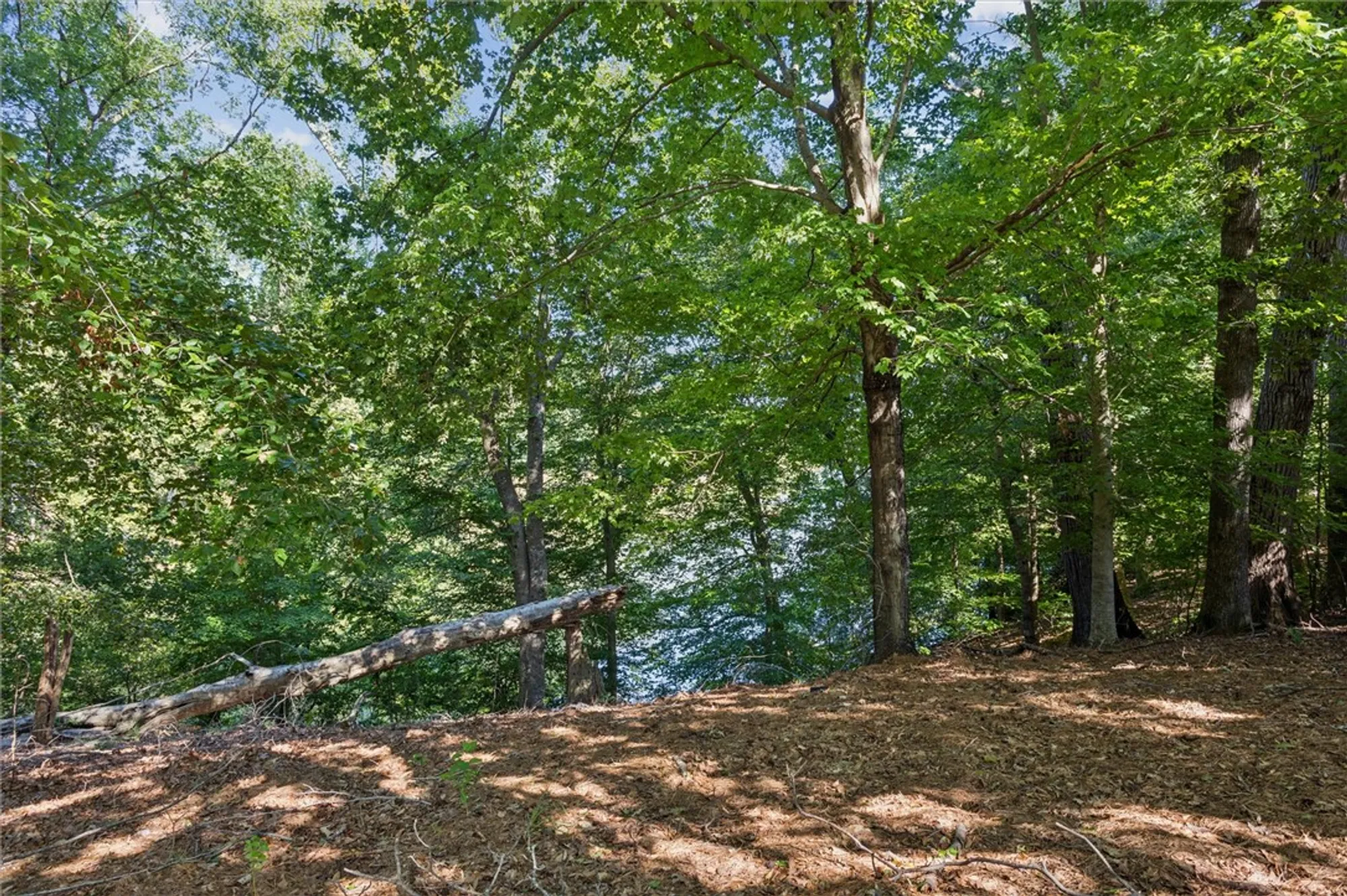 Property Slideshow image 27 of 28 | 230 padgetts ordinary, Williamsburg, VA, 23185