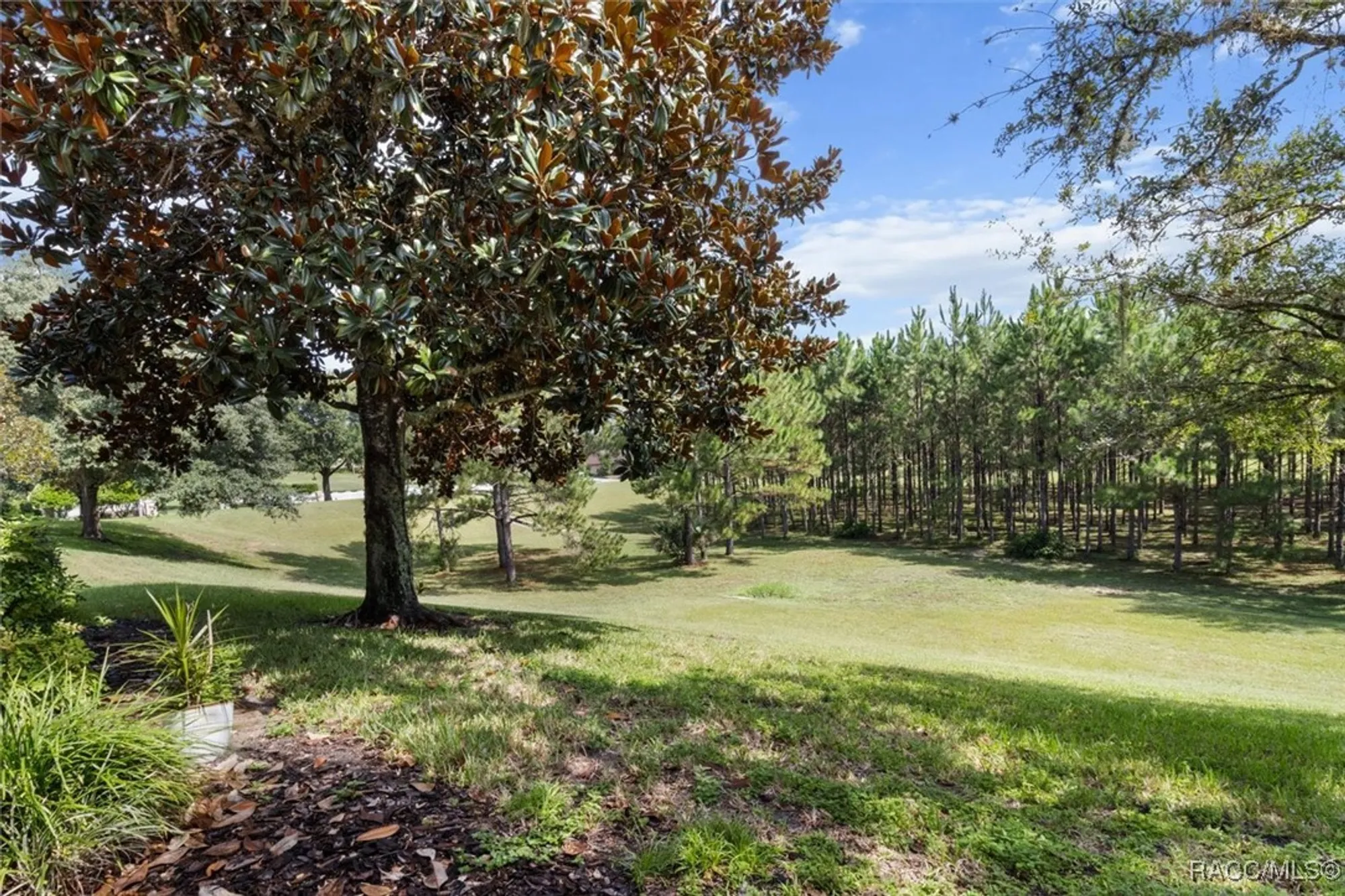 Property Slideshow image 31 of 44 | 1598 w spring meadow loop, Lecanto, FL, 34461