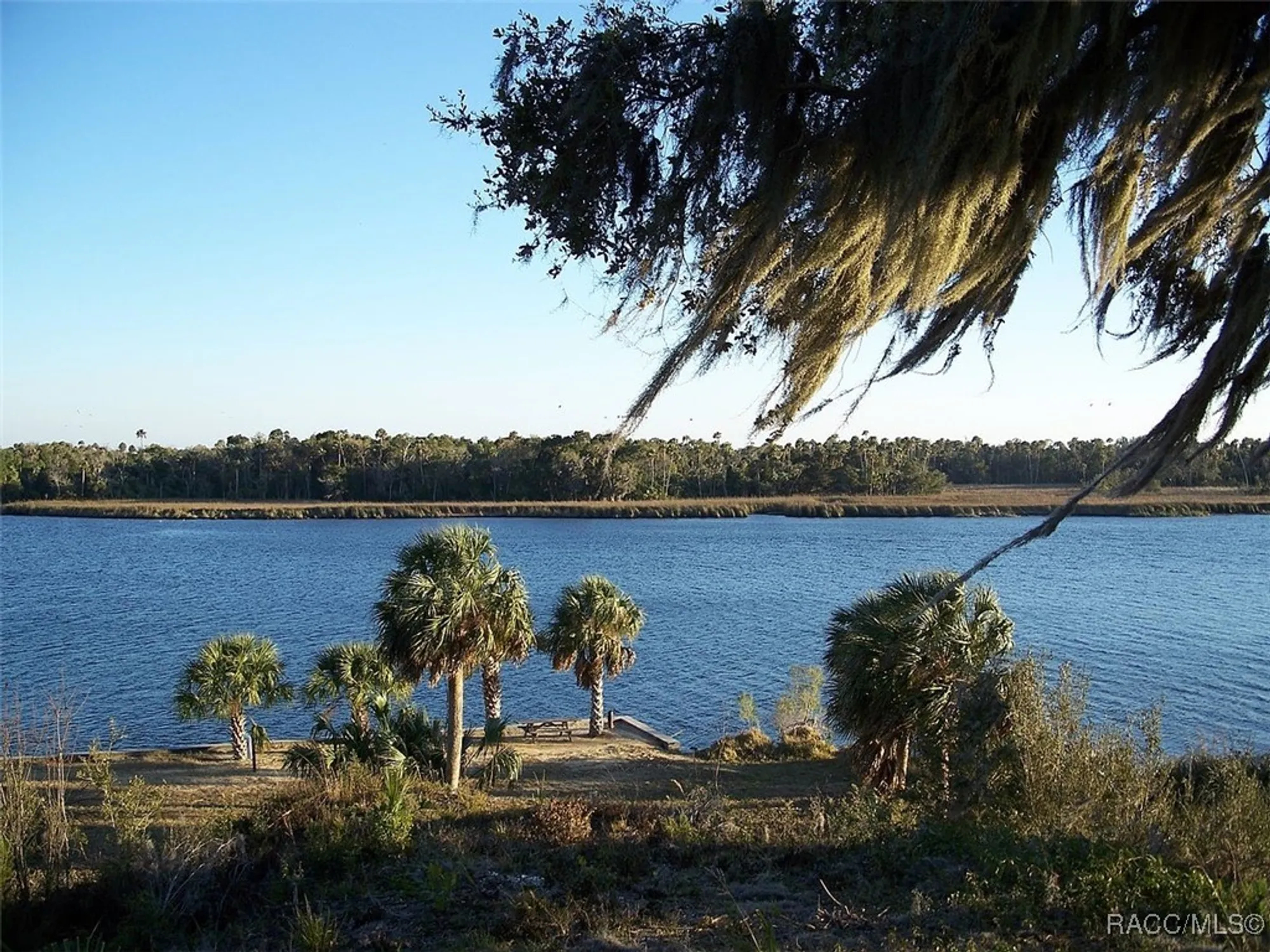 Property Slideshow image 73 of 80 | 1876 w caroline path, Lecanto, FL, 34461