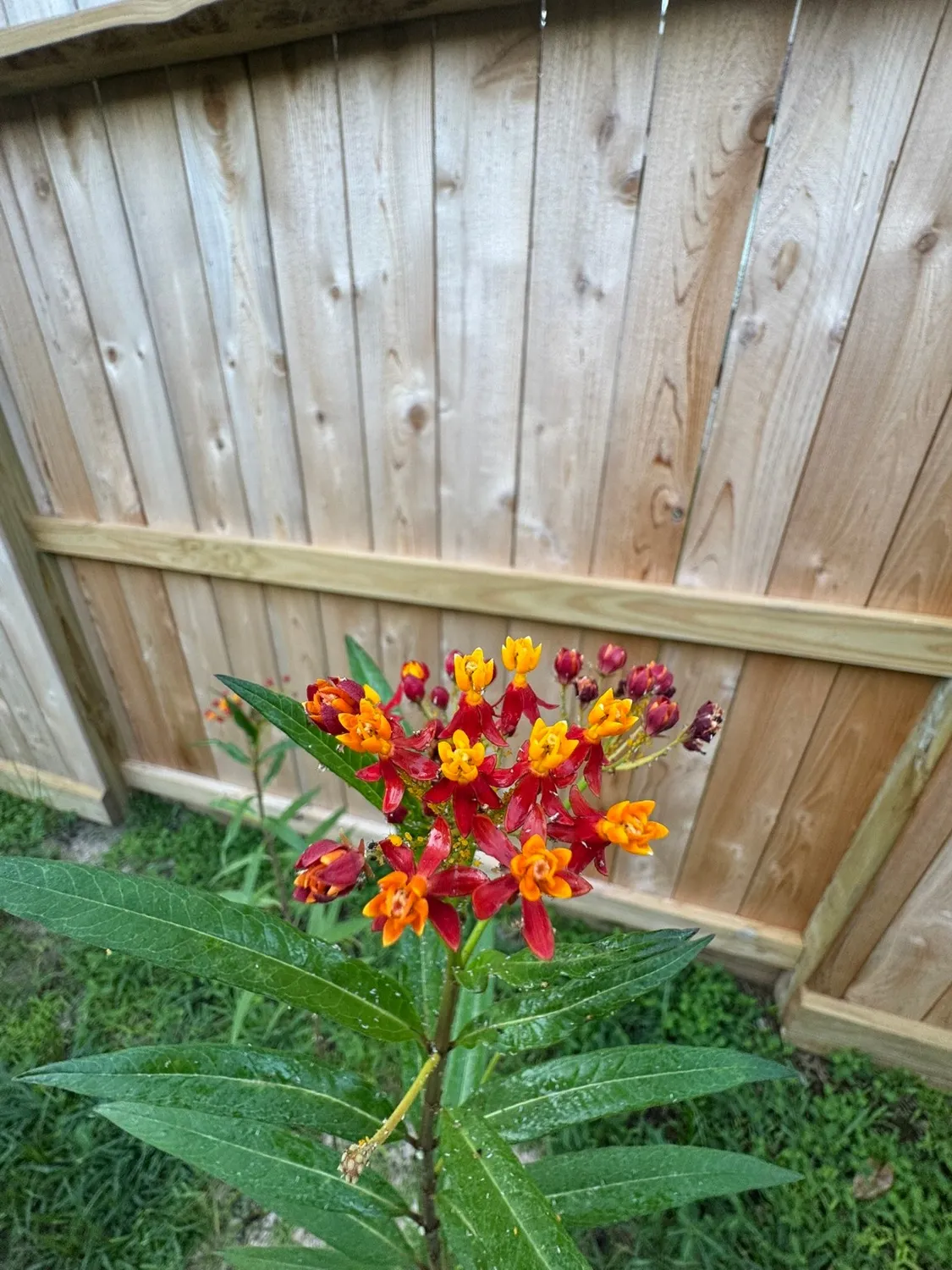 Property Slideshow image 28 of 30 | 51 n country gate cir, Conroe, TX, 77384