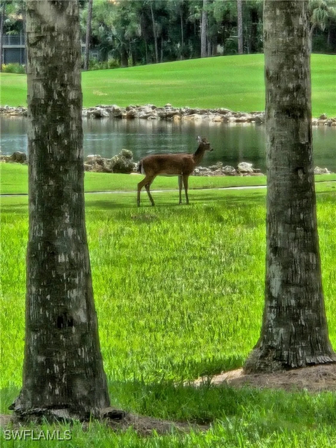 Property Slideshow image 24 of 32 | 8563 chase preserve dr, Naples, FL, 34113