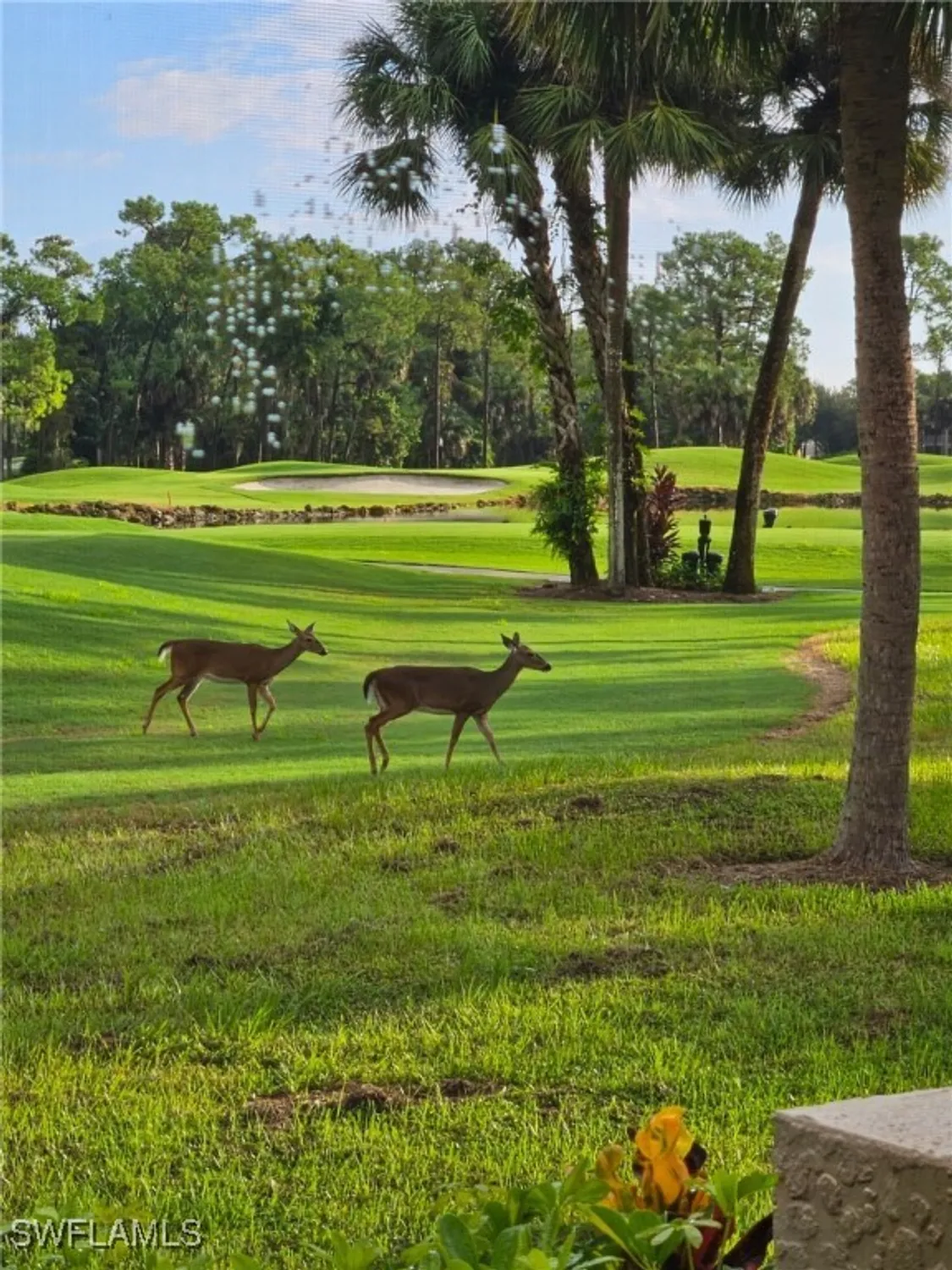 Property Slideshow image 32 of 32 | 8563 chase preserve dr, Naples, FL, 34113