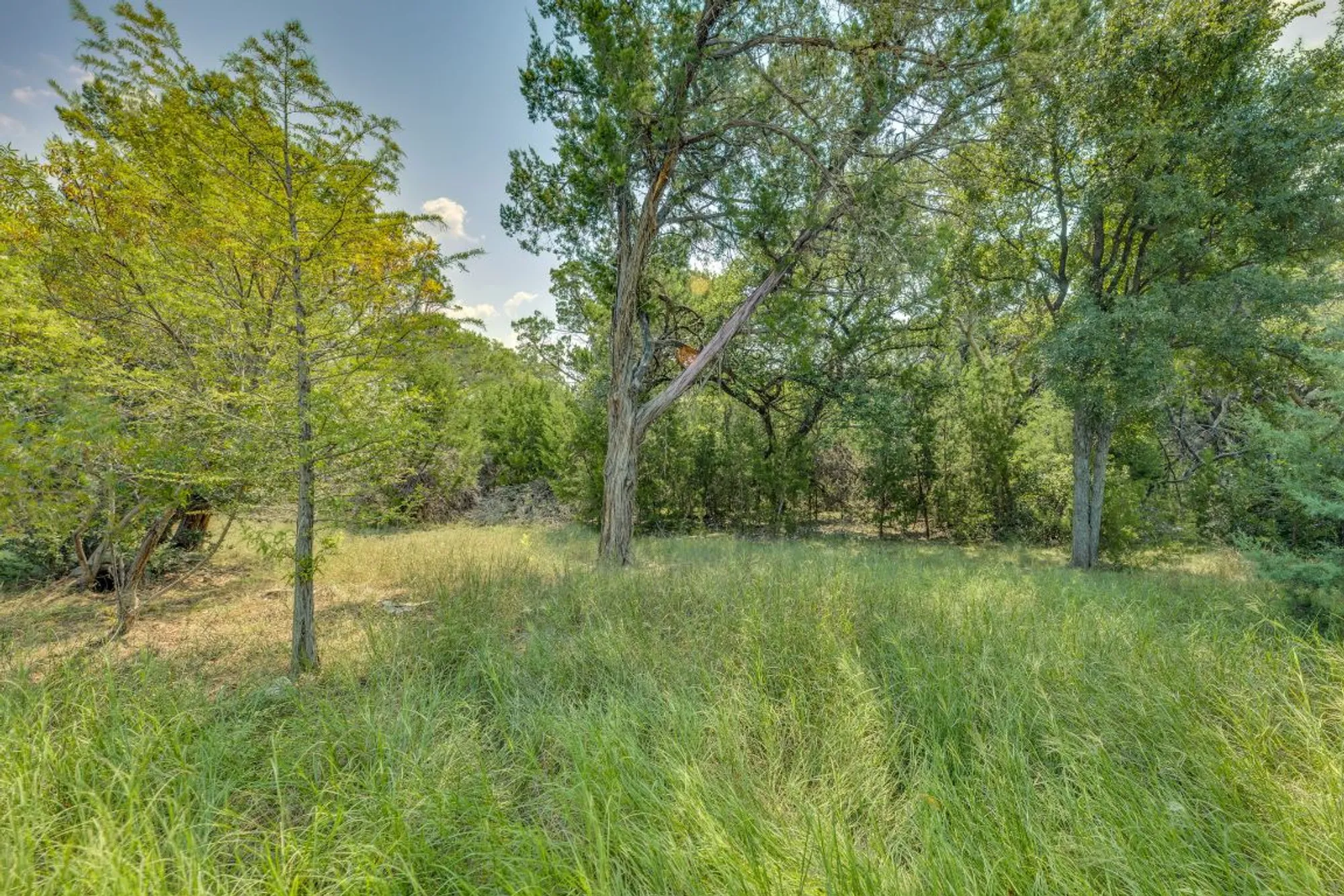 Property Slideshow image 31 of 40 | 705 holiday creek ln, Georgetown, TX, 78633