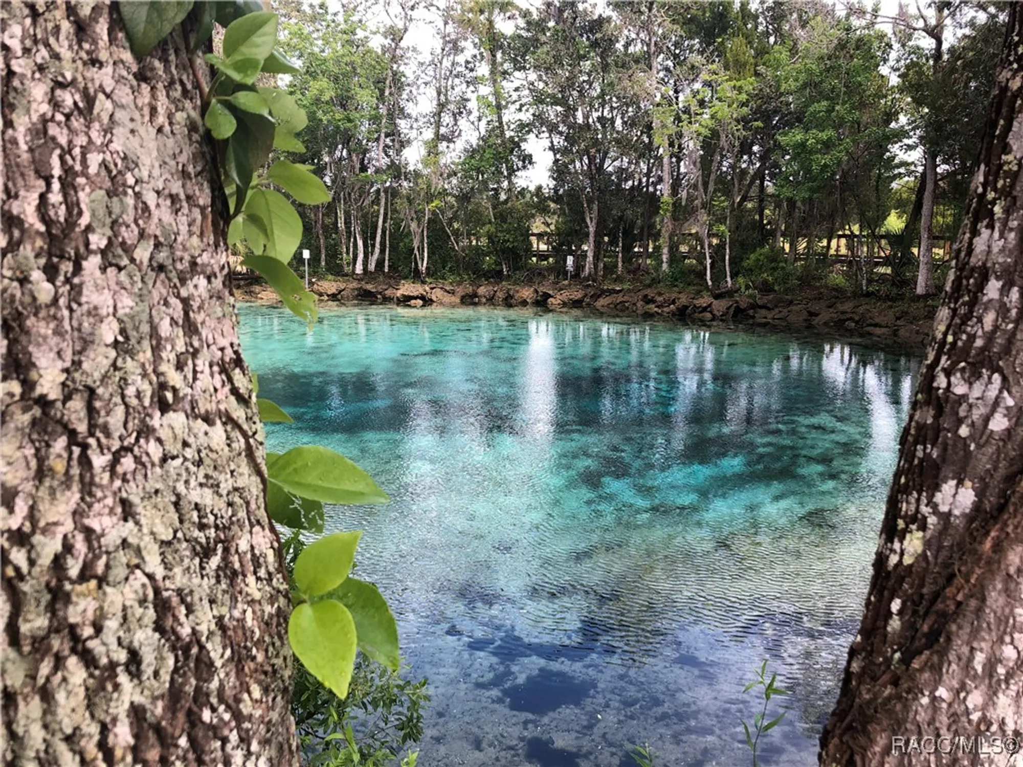 Property Slideshow image 38 of 49 | 1385 n hunterston pt, Crystal River, FL, 34429