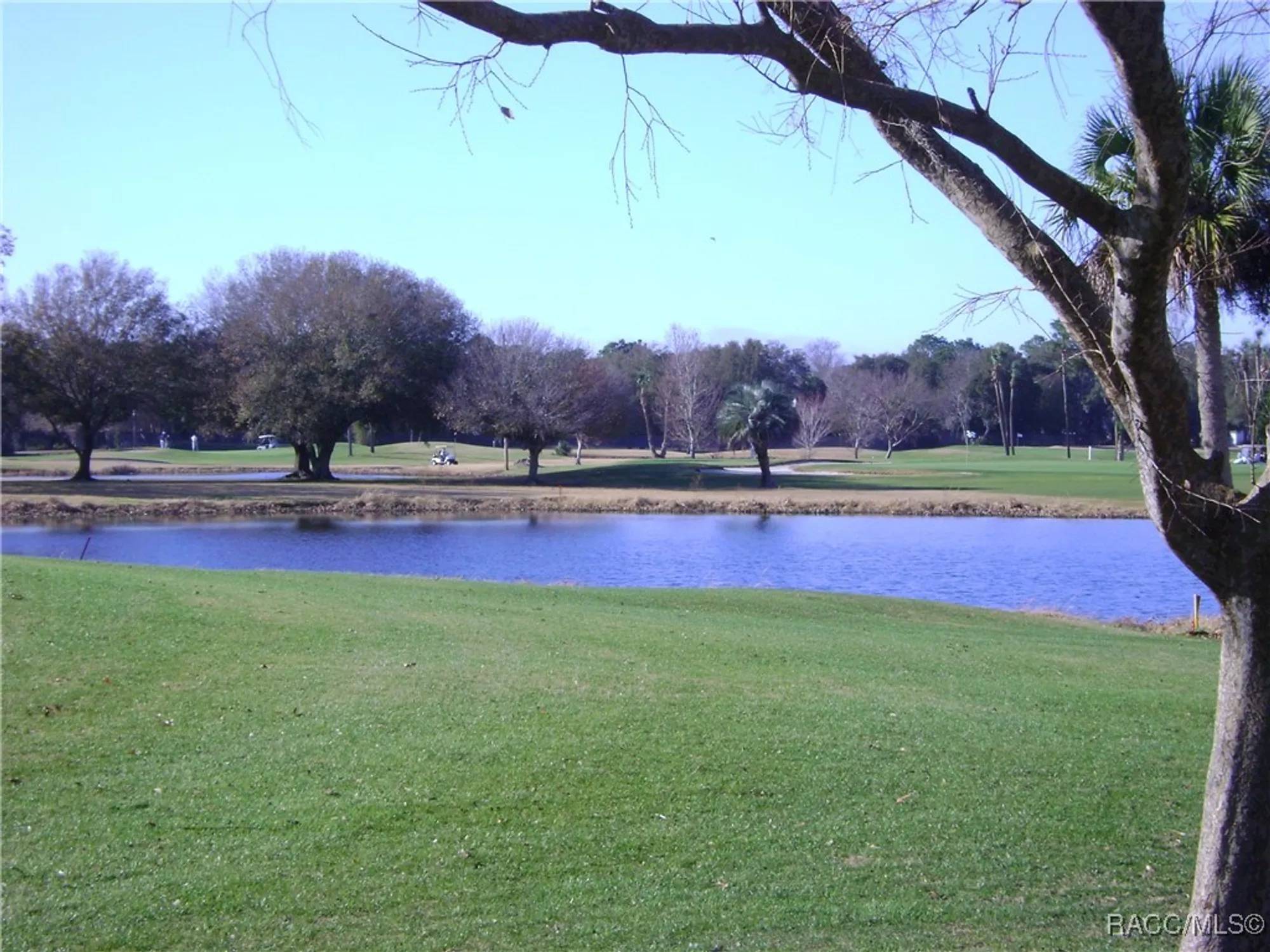 Property Slideshow image 39 of 49 | 1385 n hunterston pt, Crystal River, FL, 34429