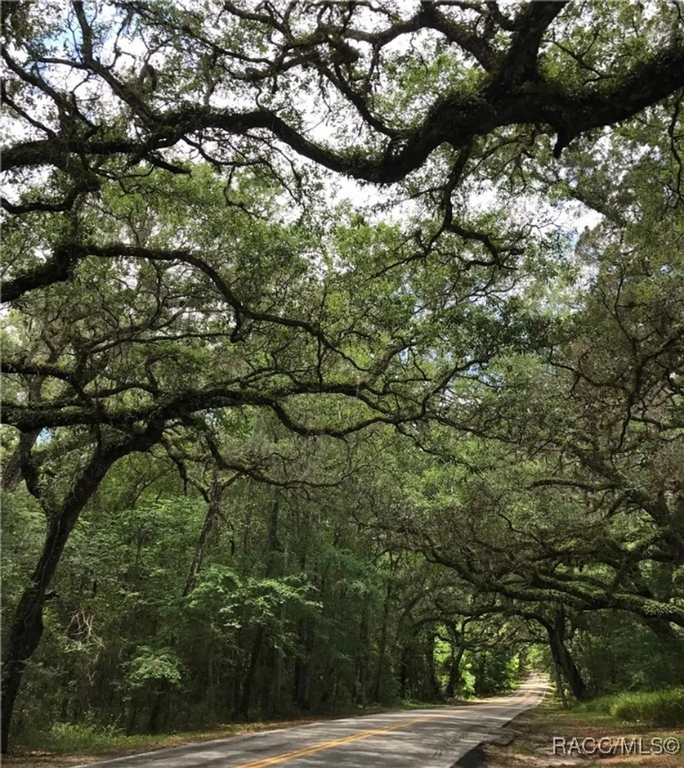 Property Slideshow image 44 of 49 | 1385 n hunterston pt, Crystal River, FL, 34429