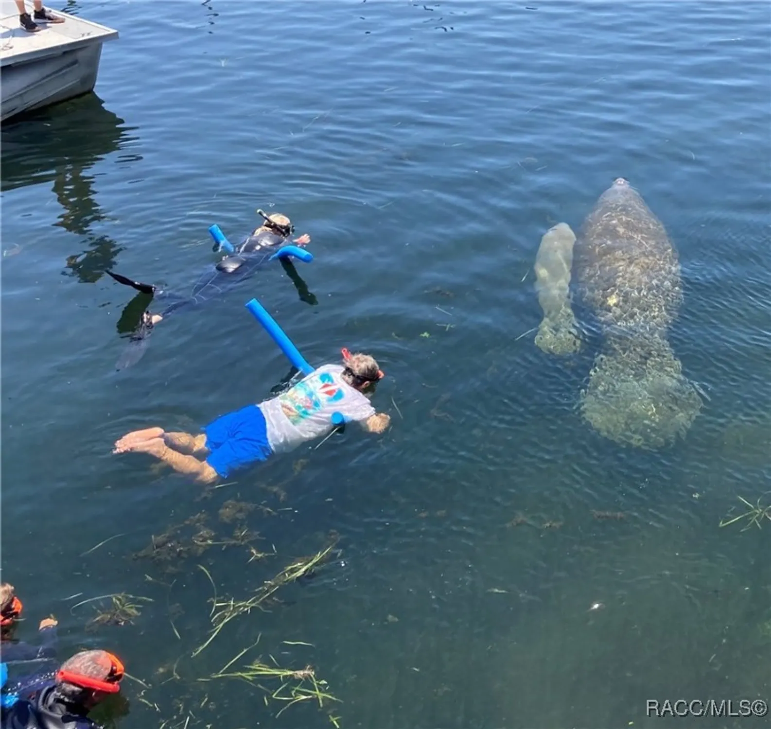 Property Slideshow image 48 of 49 | 1385 n hunterston pt, Crystal River, FL, 34429