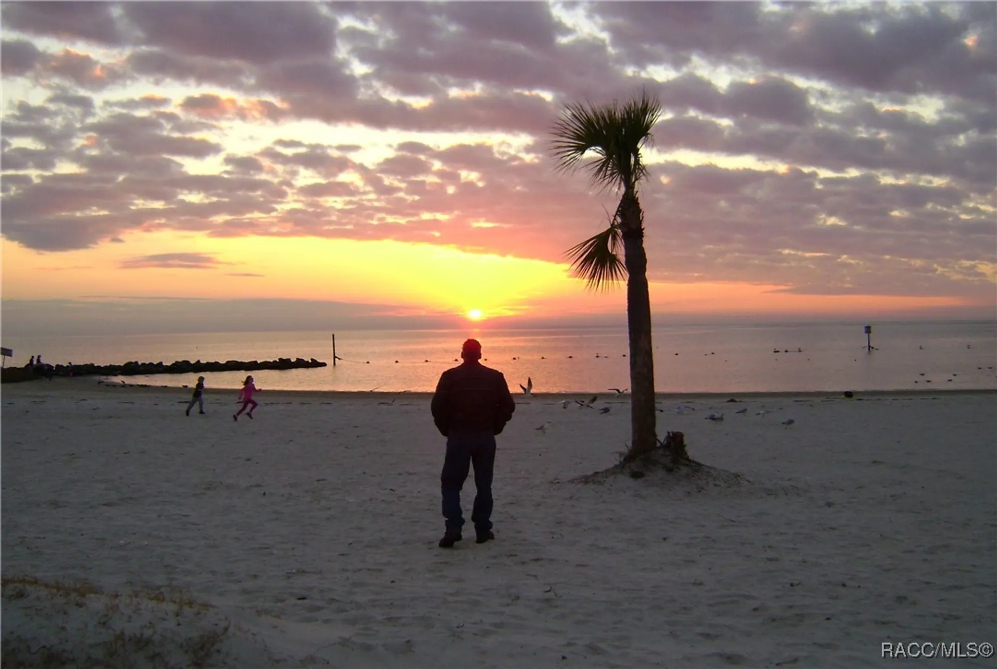 Property Slideshow image 49 of 49 | 1385 n hunterston pt, Crystal River, FL, 34429