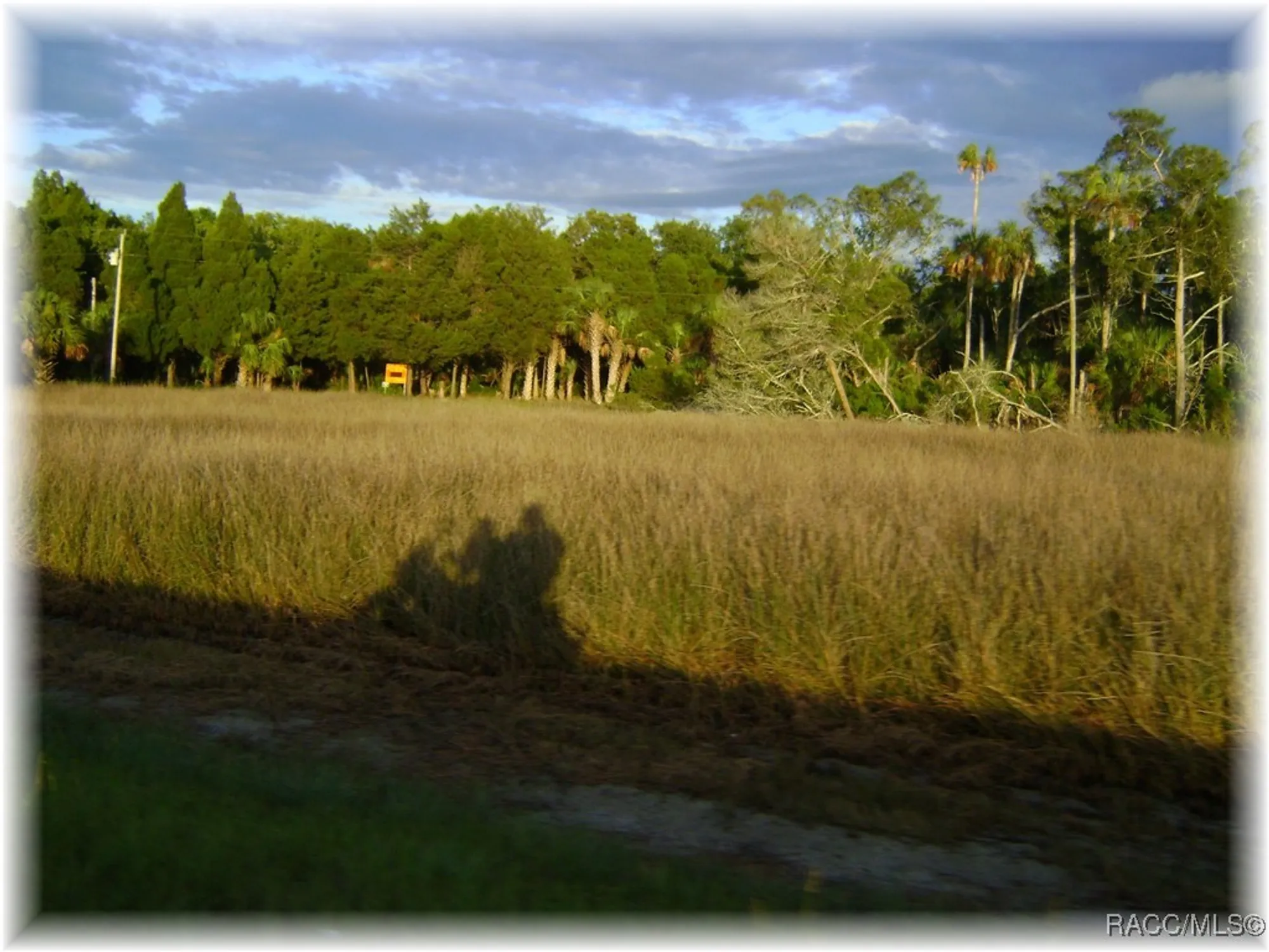 Property Slideshow image 43 of 49 | 1385 n hunterston pt, Crystal River, FL, 34429