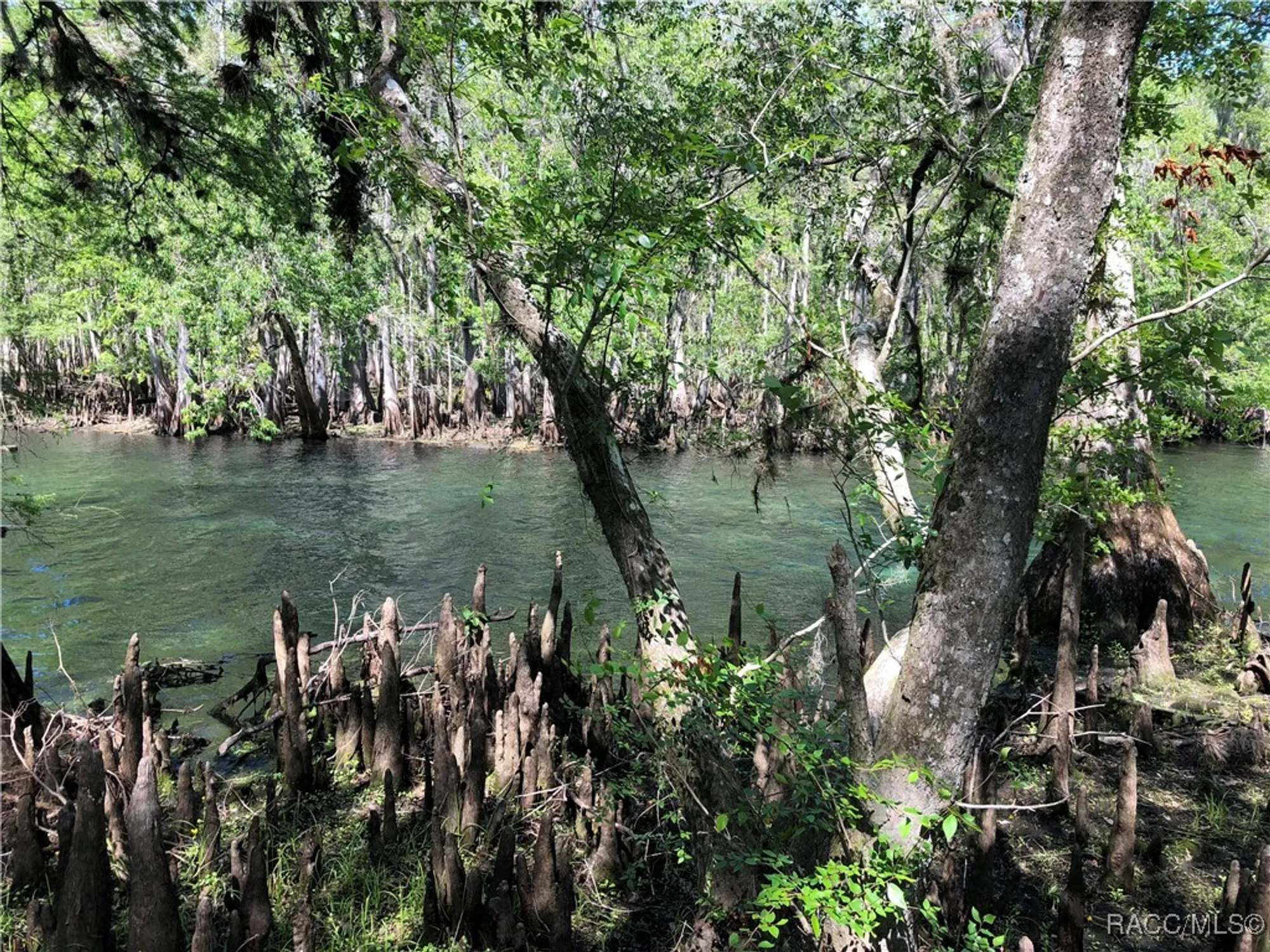 Property Slideshow image 66 of 66 | 5961 w douneray loop, Crystal River, FL, 34429