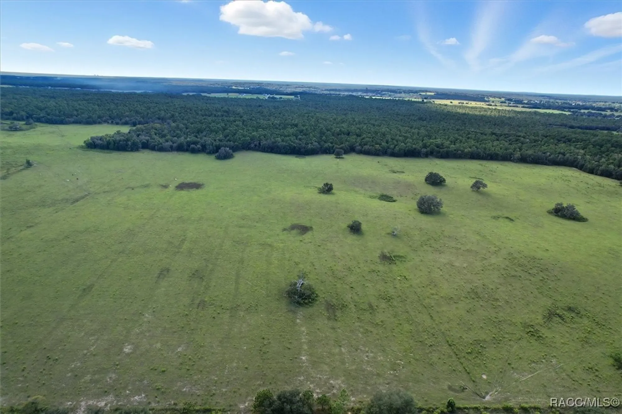 Property Slideshow image 45 of 47 | 10473 s drew bryant cir, Floral City, FL, 34436