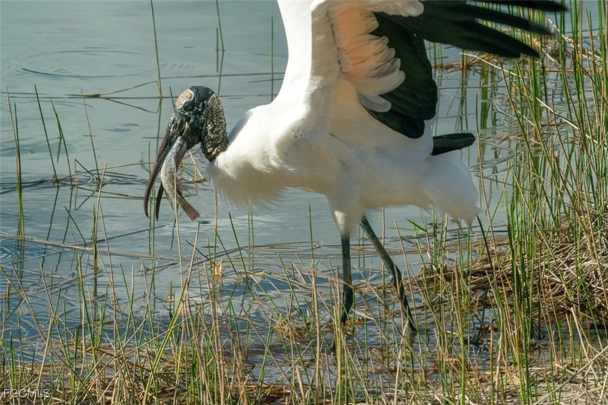 Property Slideshow image 29 of 49 | 10390 glastonbury cir 102, Fort Myers, FL, 33913