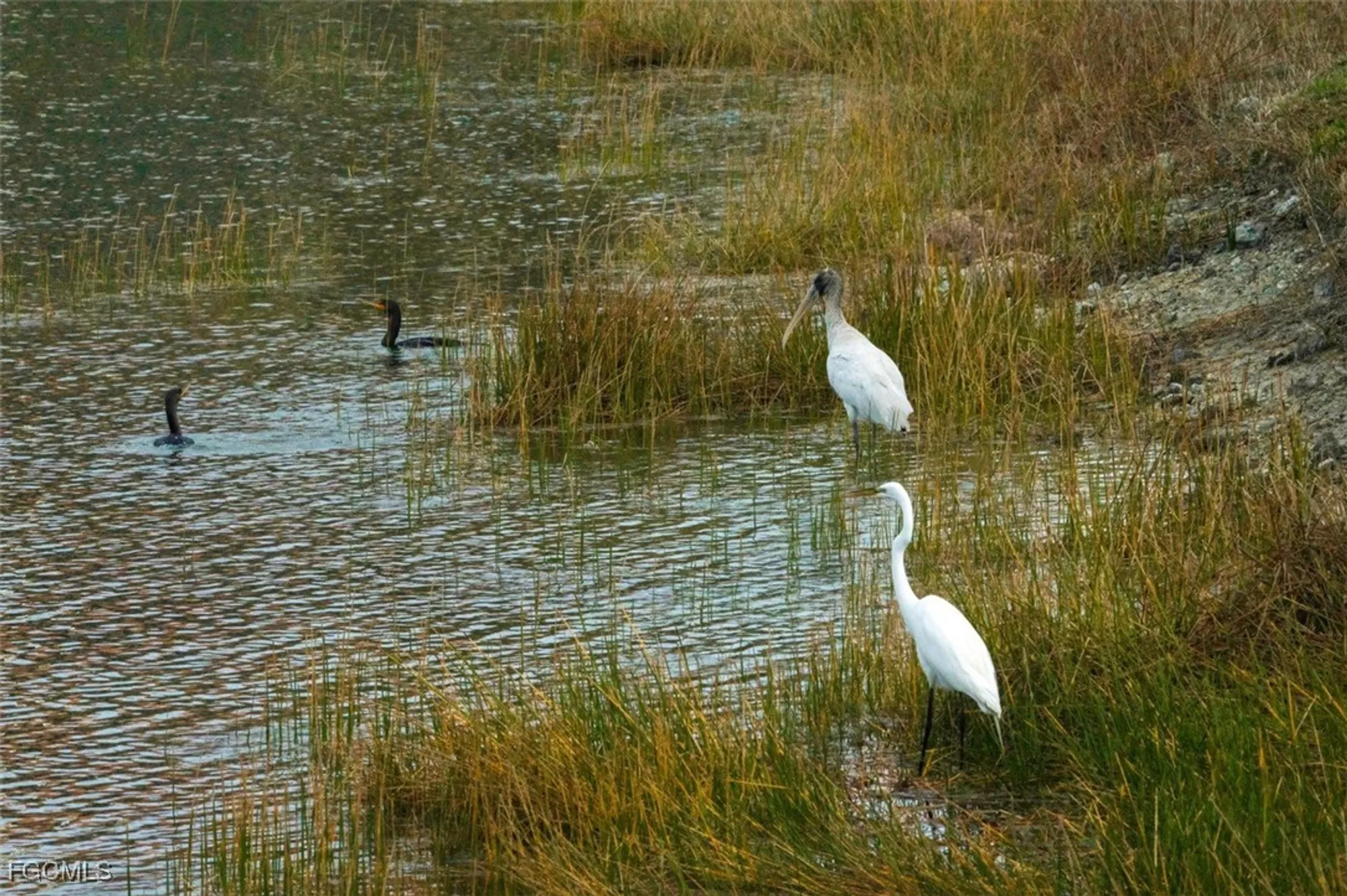 Property Slideshow image 30 of 49 | 10390 glastonbury cir 102, Fort Myers, FL, 33913