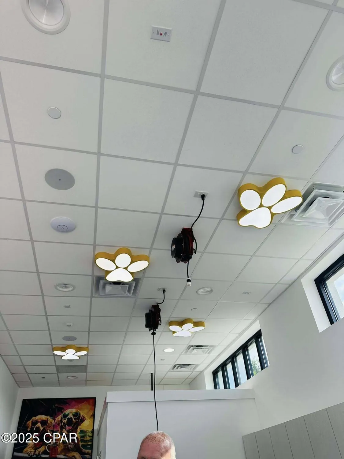 Property Slideshow image 71 of 112 | 8494 hang loose ct, Panama City Beach, FL, 32413