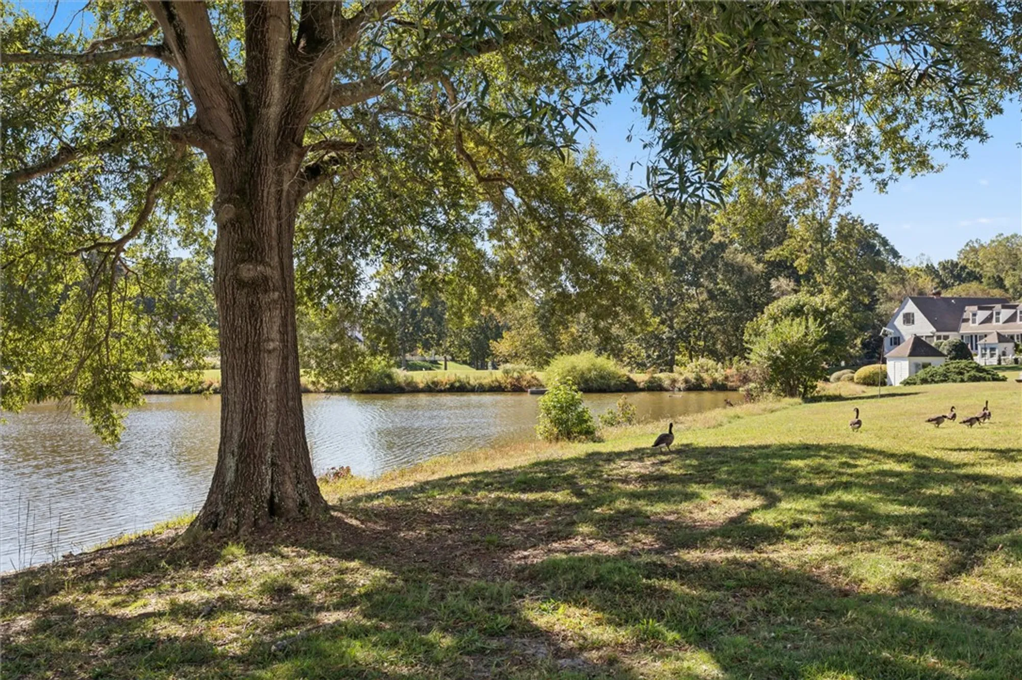 Property Slideshow image 3 of 43 | 311 dogleg dr, Williamsburg, VA, 23188