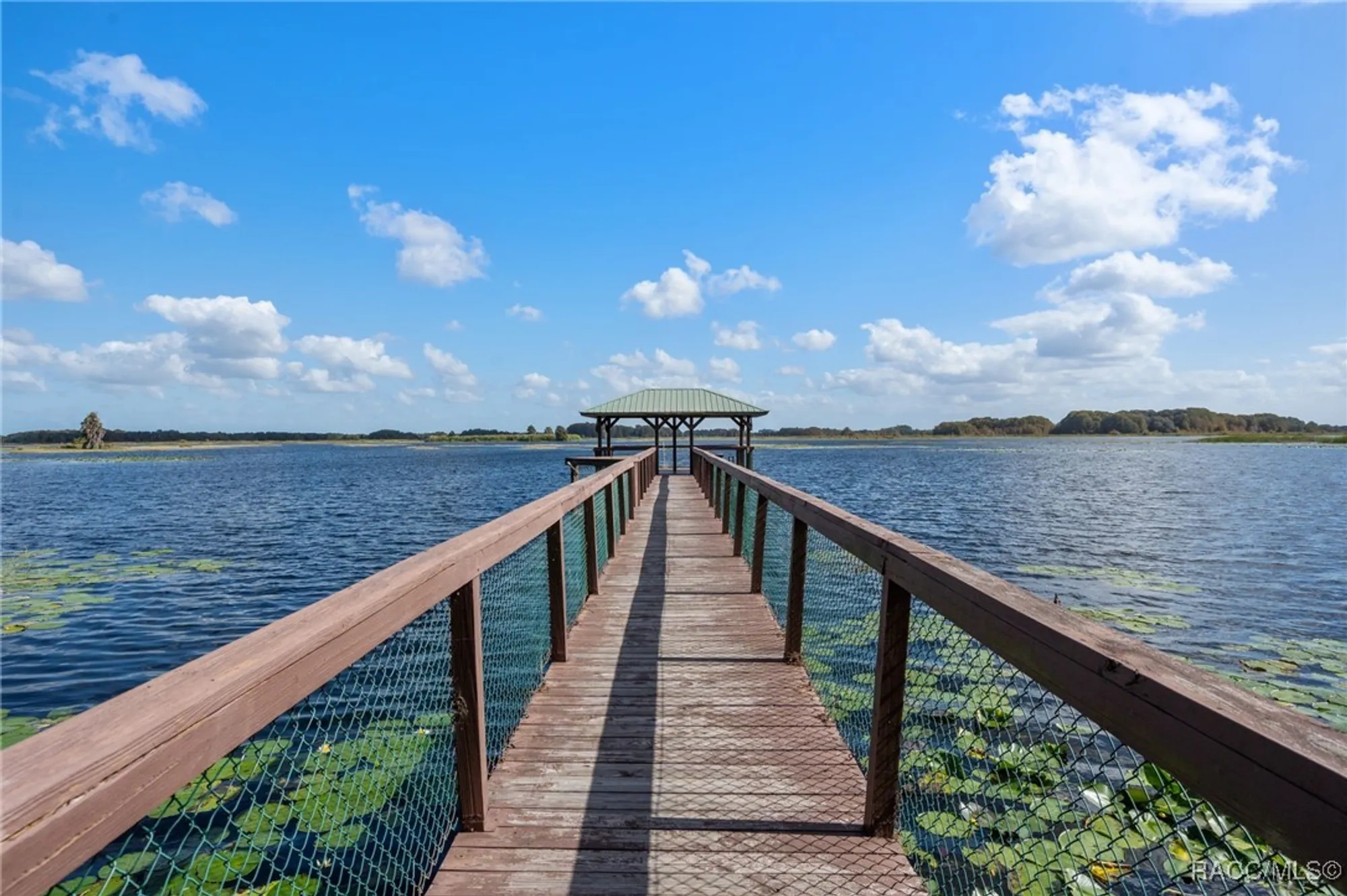 Property Slideshow image 74 of 76 | 3825 e arbor lakes dr, Hernando, FL, 34442