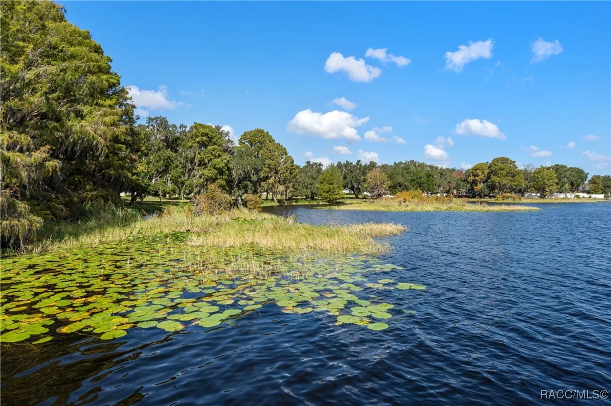 Property Slideshow image 75 of 76 | 3825 e arbor lakes dr, Hernando, FL, 34442