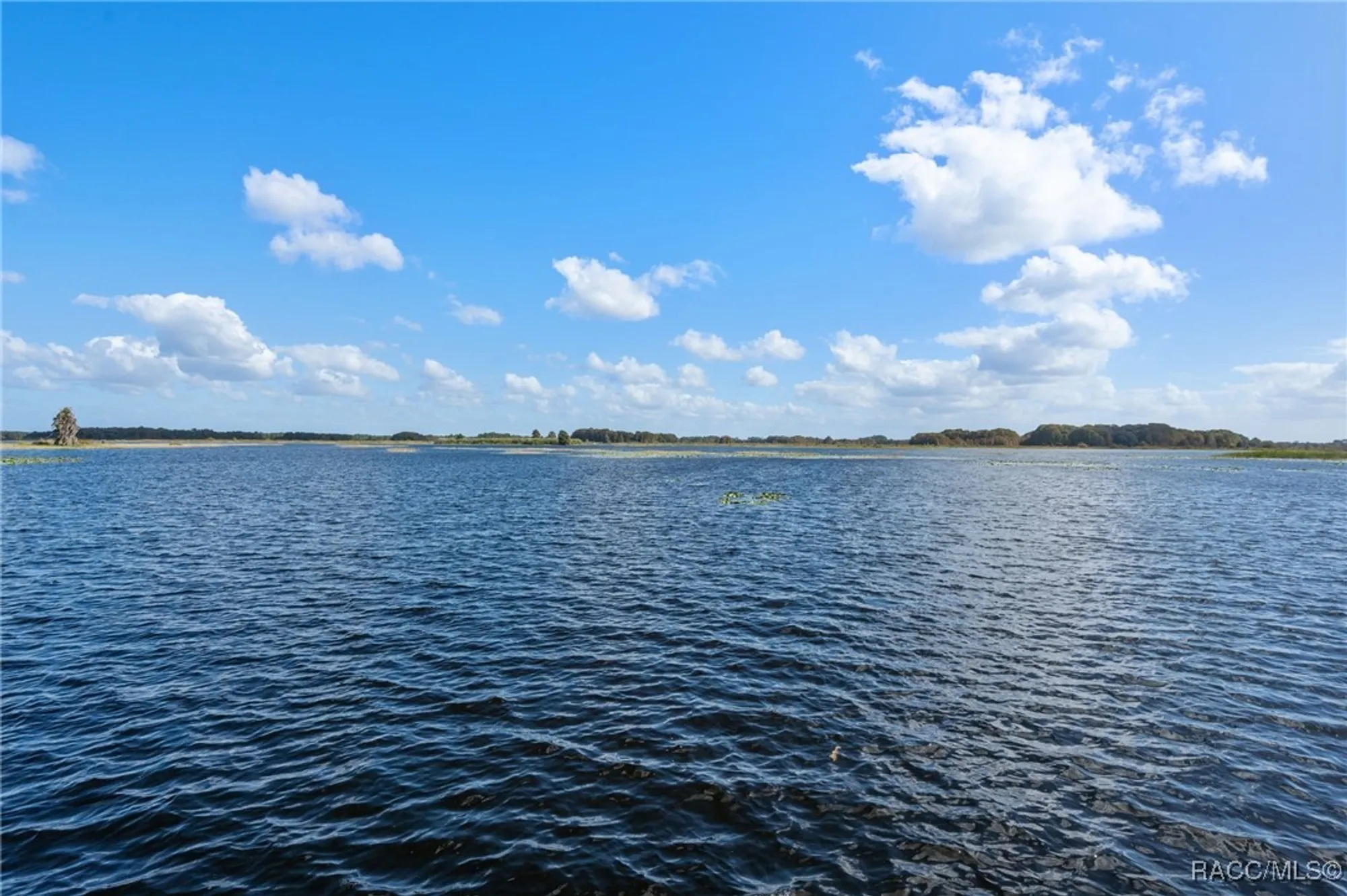 Property Slideshow image 76 of 76 | 3825 e arbor lakes dr, Hernando, FL, 34442