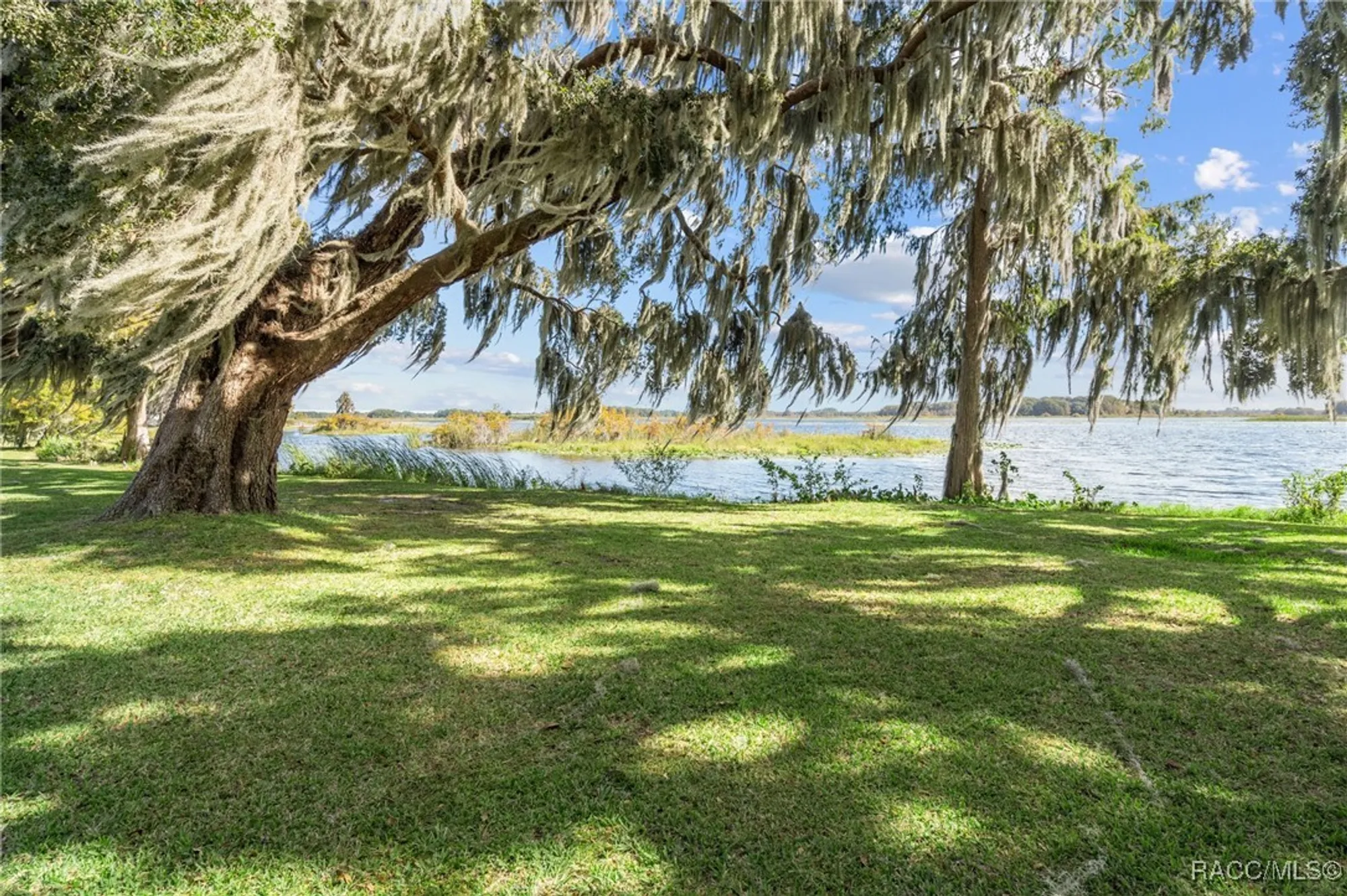 Property Slideshow image 70 of 76 | 3825 e arbor lakes dr, Hernando, FL, 34442