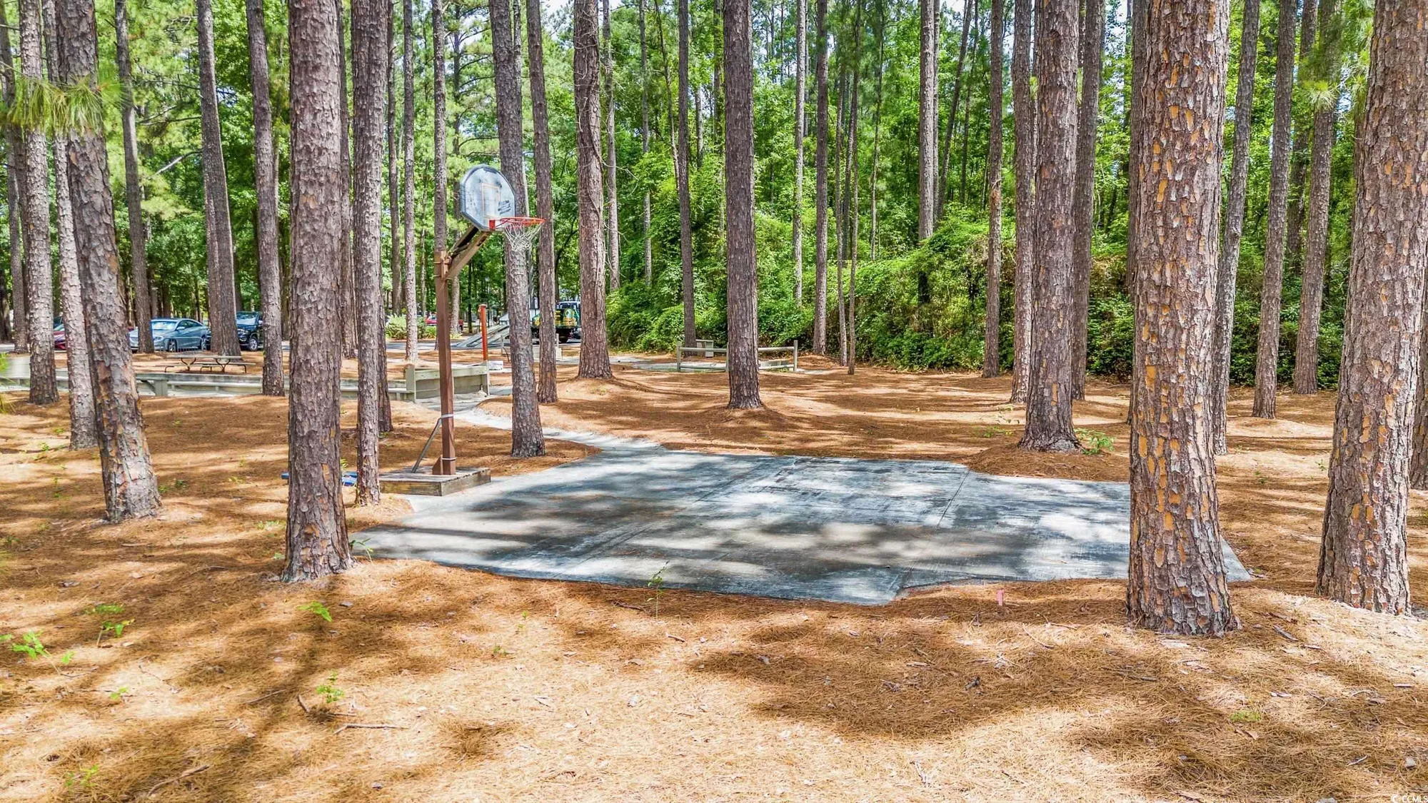 Property Slideshow image 39 of 40 | 104 hickory dr, Conway, SC, 29526