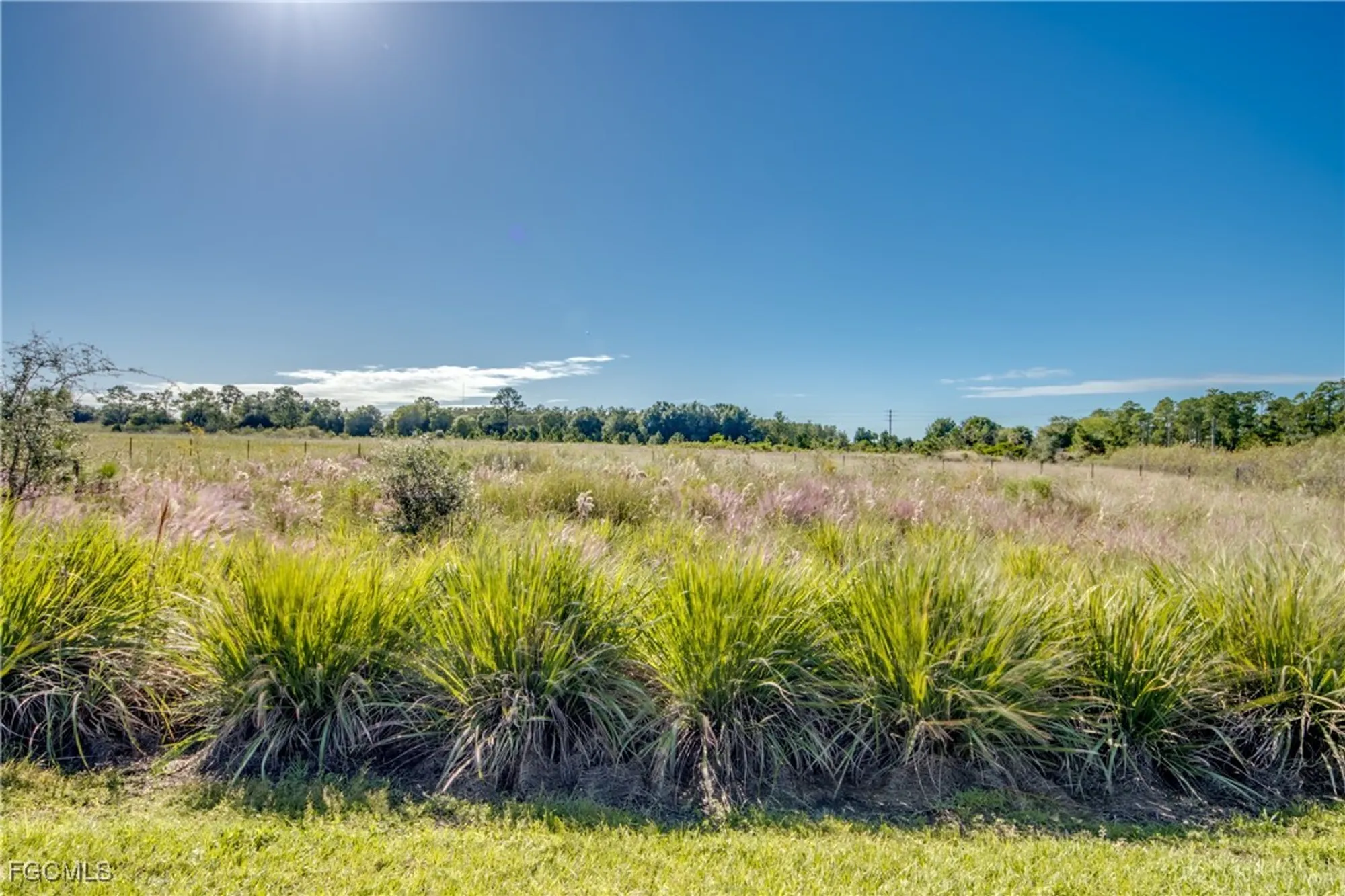 Property Slideshow image 27 of 50 | 19777 the place blvd, Estero, FL, 33928
