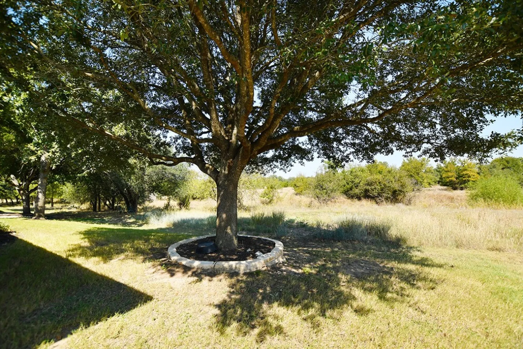 Property Slideshow image 26 of 27 | 143 dickens cir, Georgetown, TX, 78633