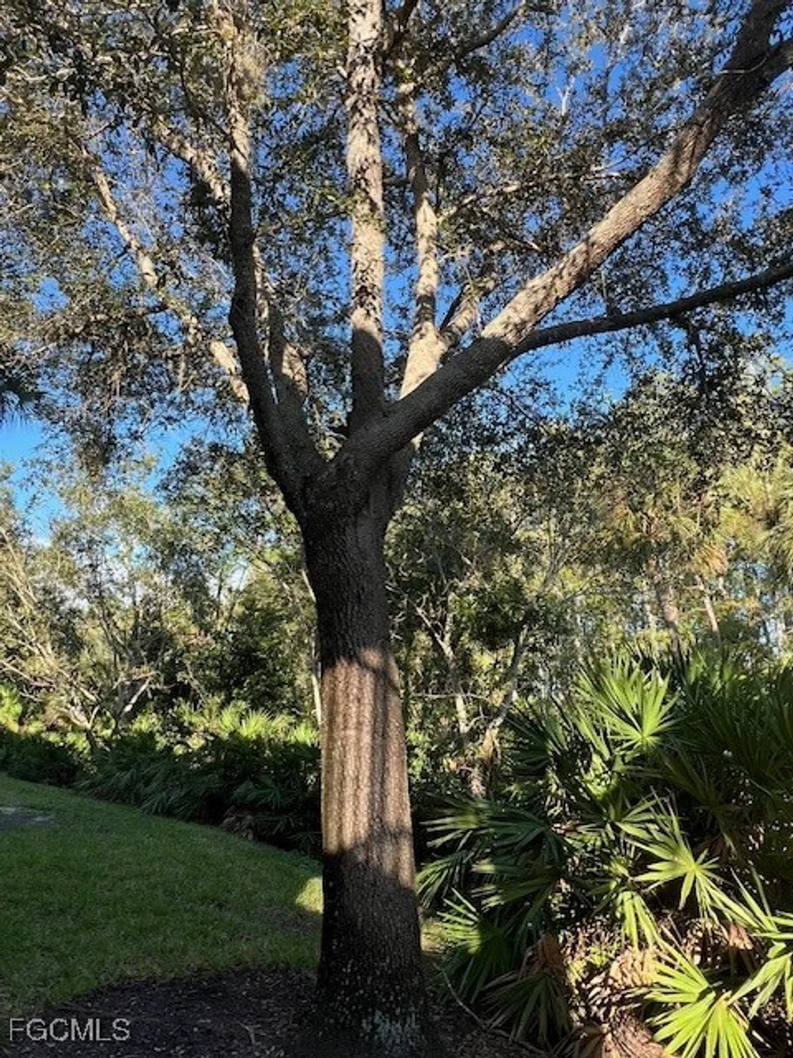 Property Slideshow image 18 of 42 | 9603 hemingway ln 4001, Fort Myers, FL, 33913