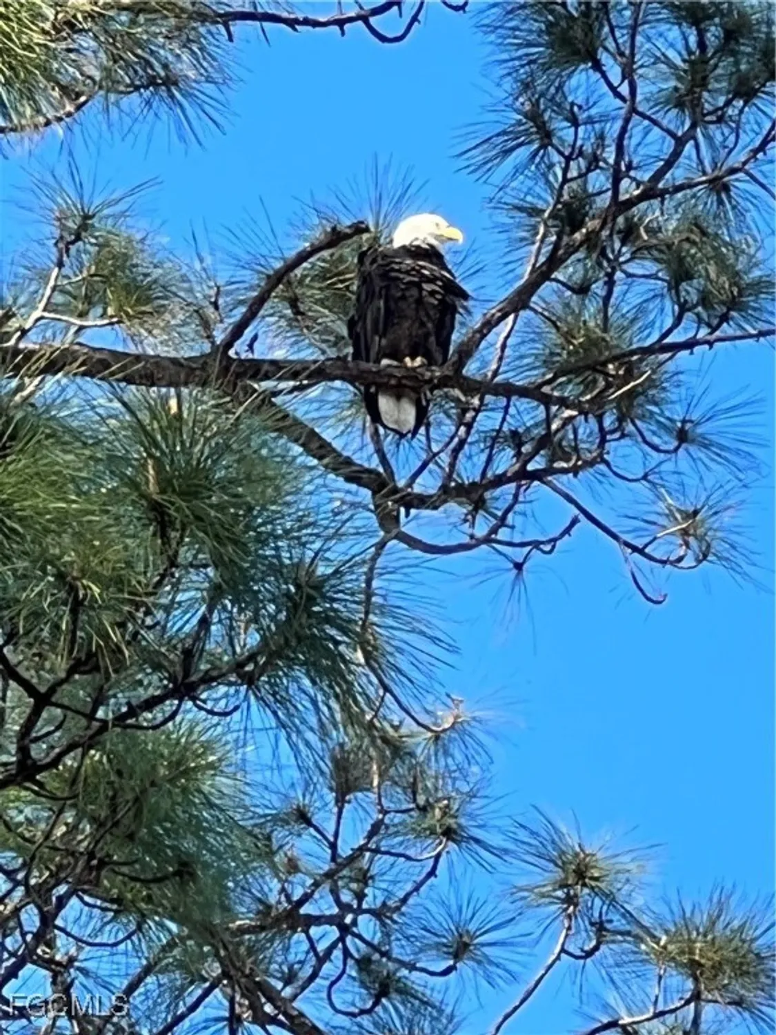 Property Slideshow image 38 of 42 | 9603 hemingway ln 4001, Fort Myers, FL, 33913