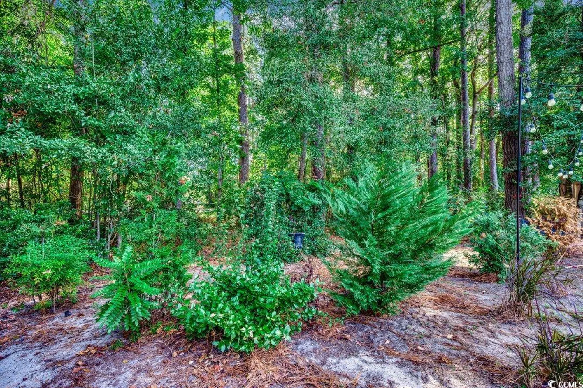 Property Slideshow image 19 of 28 | 109 hickory dr, Conway, SC, 29526