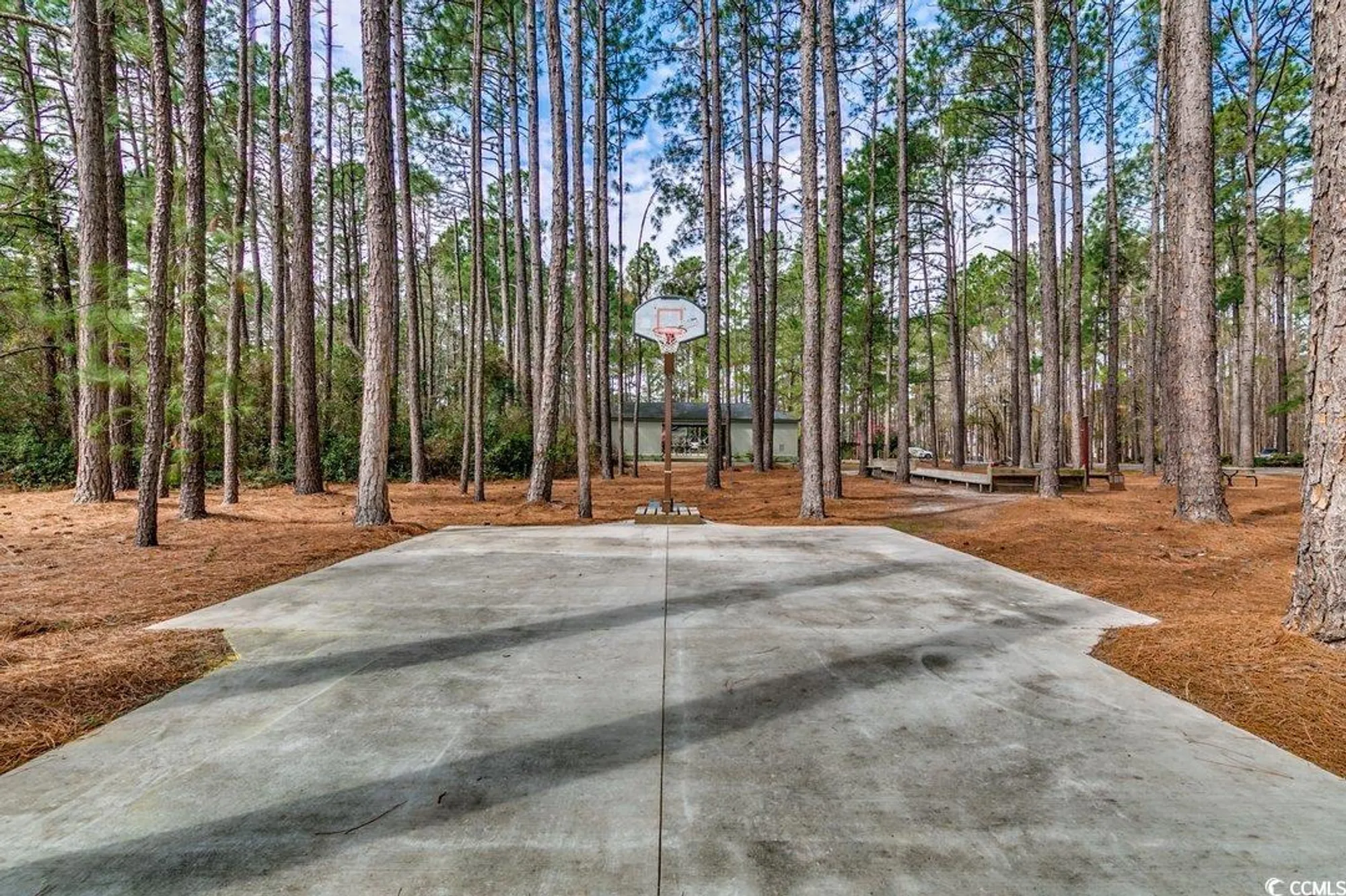 Property Slideshow image 27 of 28 | 109 hickory dr, Conway, SC, 29526