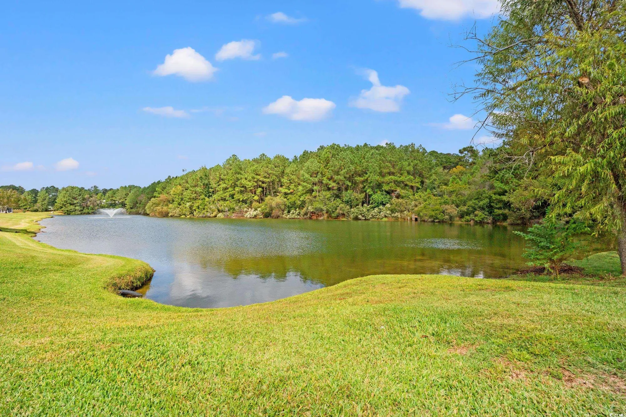 Property Slideshow image 24 of 40 | 157 lakeside crossing dr, Conway, SC, 29526