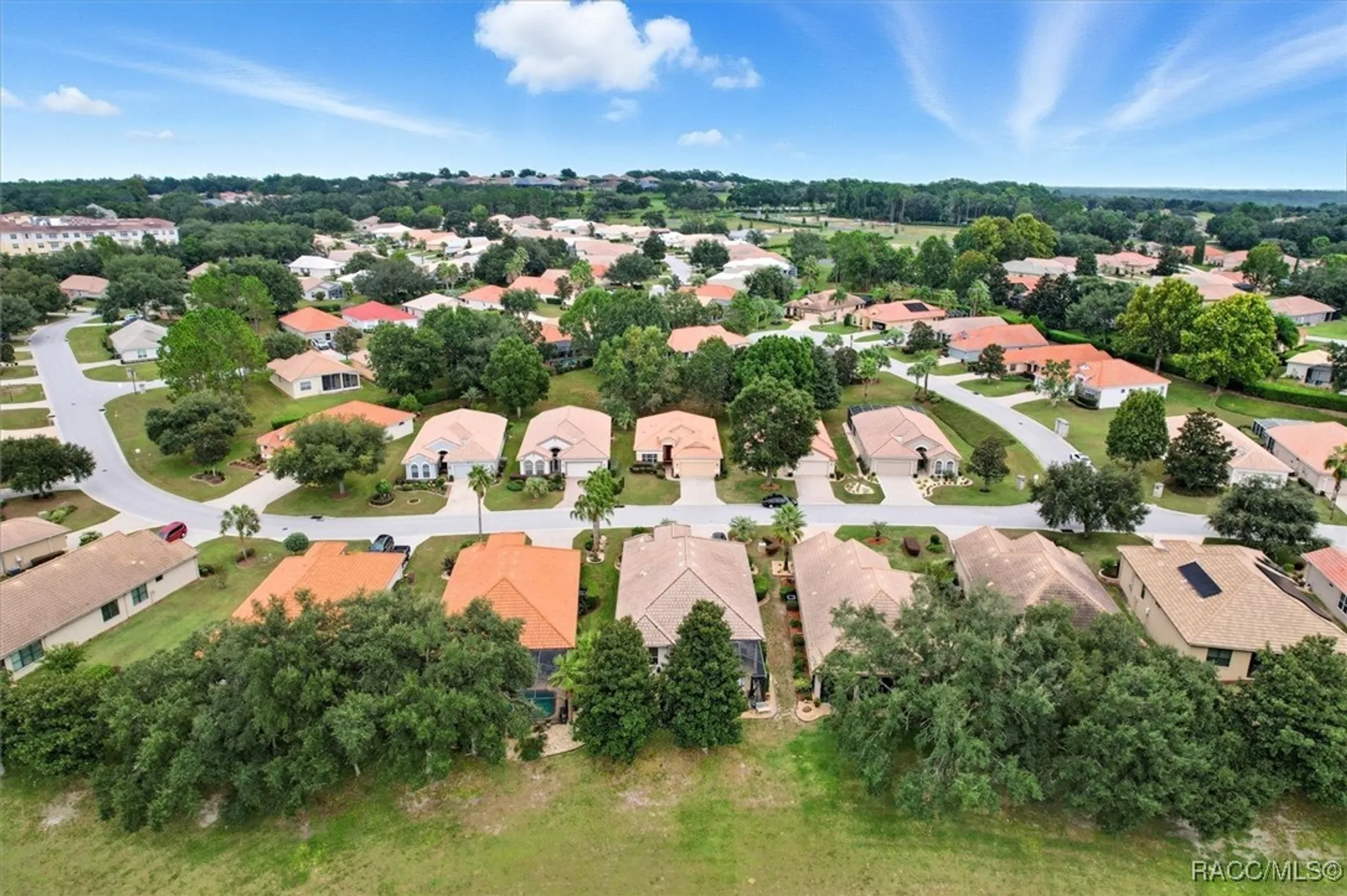 Property Slideshow image 41 of 52 | 1080 w skyview crossing dr, Hernando, FL, 34442