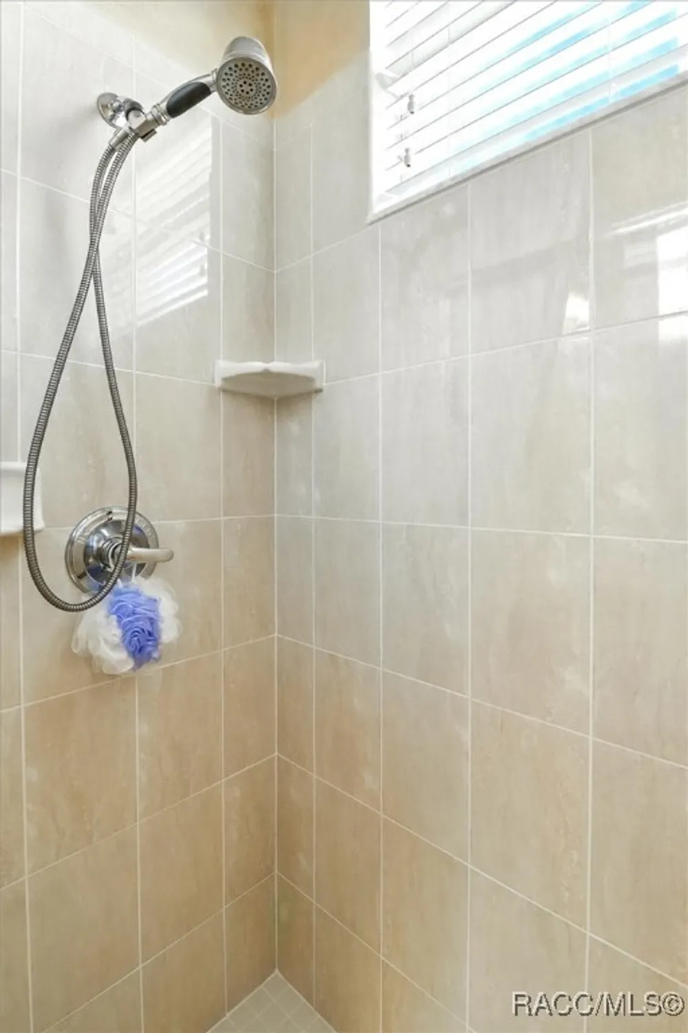 Property Slideshow image 33 of 46 | 1070 w skyview crossing dr, Hernando, FL, 34442