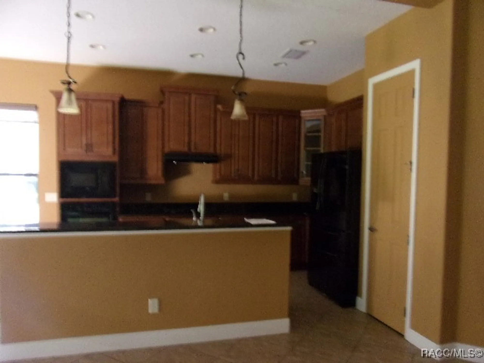 Property Slideshow image 4 of 12 | 1291 w diamond shore loop, Hernando, FL, 34442