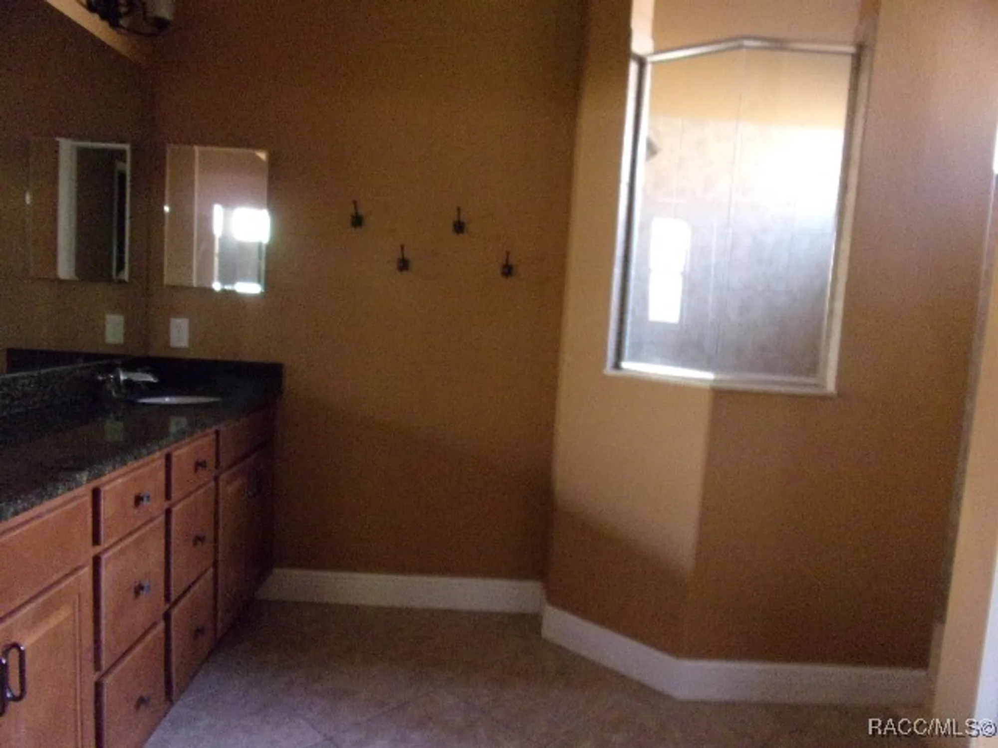 Property Slideshow image 5 of 12 | 1291 w diamond shore loop, Hernando, FL, 34442