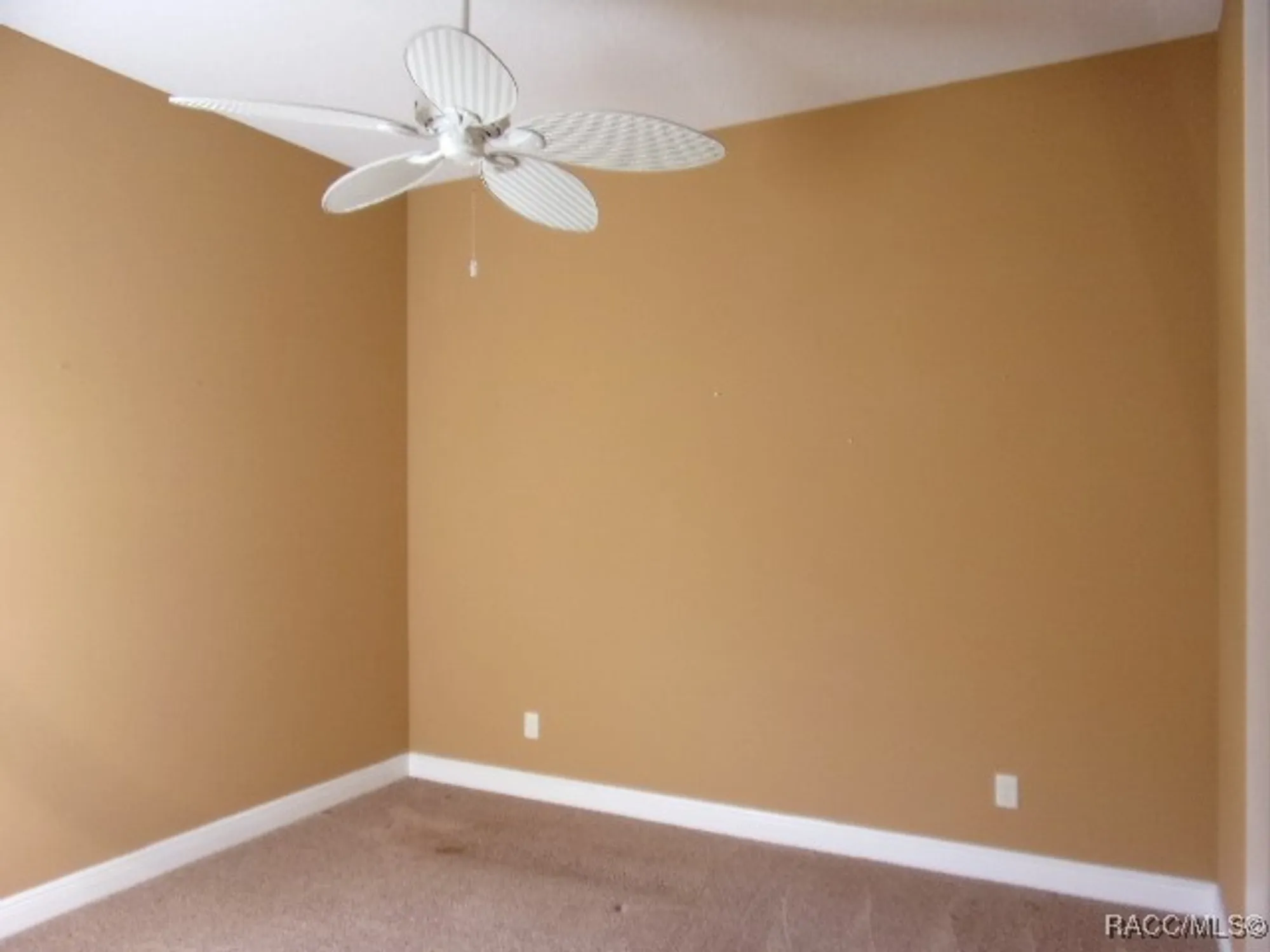 Property Slideshow image 9 of 12 | 1291 w diamond shore loop, Hernando, FL, 34442