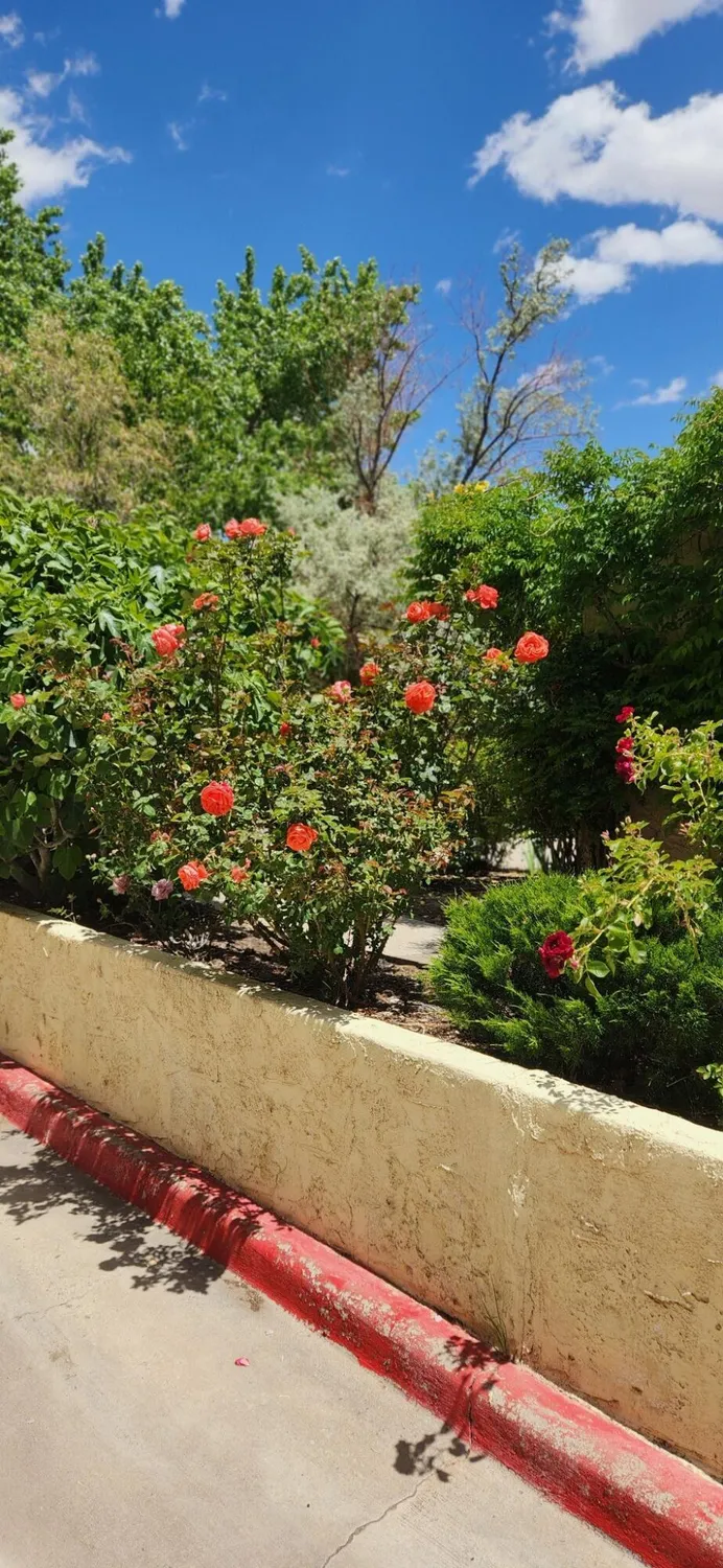 Property Slideshow image 59 of 68 | 582 eastlake dr, Rio Rancho, NM, 87124